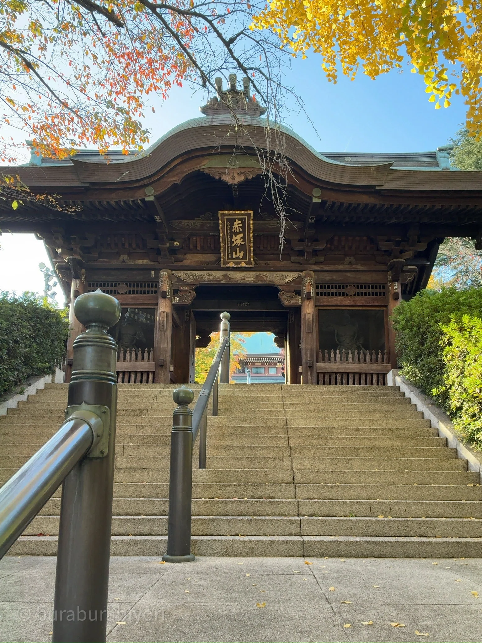 高島平散歩】未来都市の残像と、静かなる緑の記憶｜ぶらぶら日和
