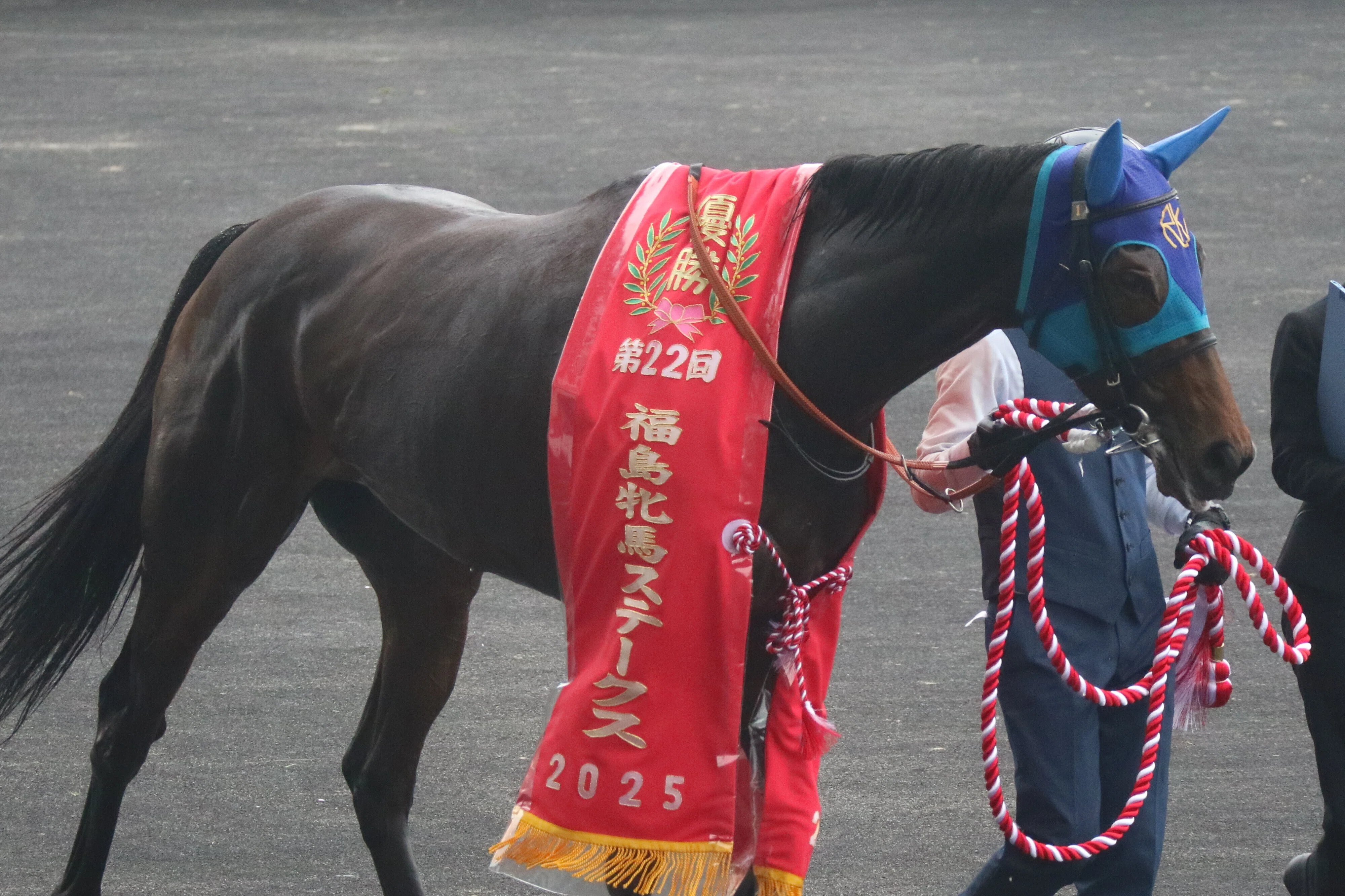 2025福島競馬｜さめはん