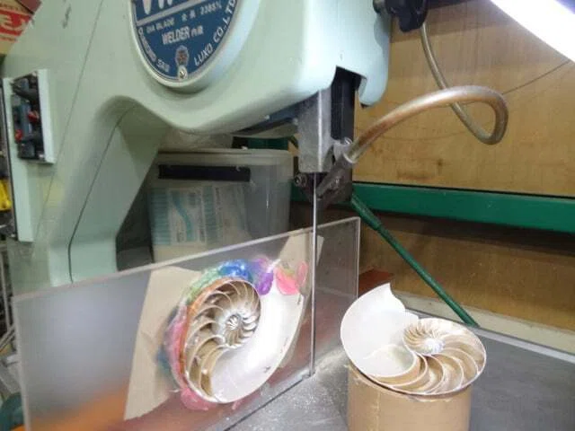 [Customer Request #20] Request for a cutaway model of a nautilus｜趣味工作の ...