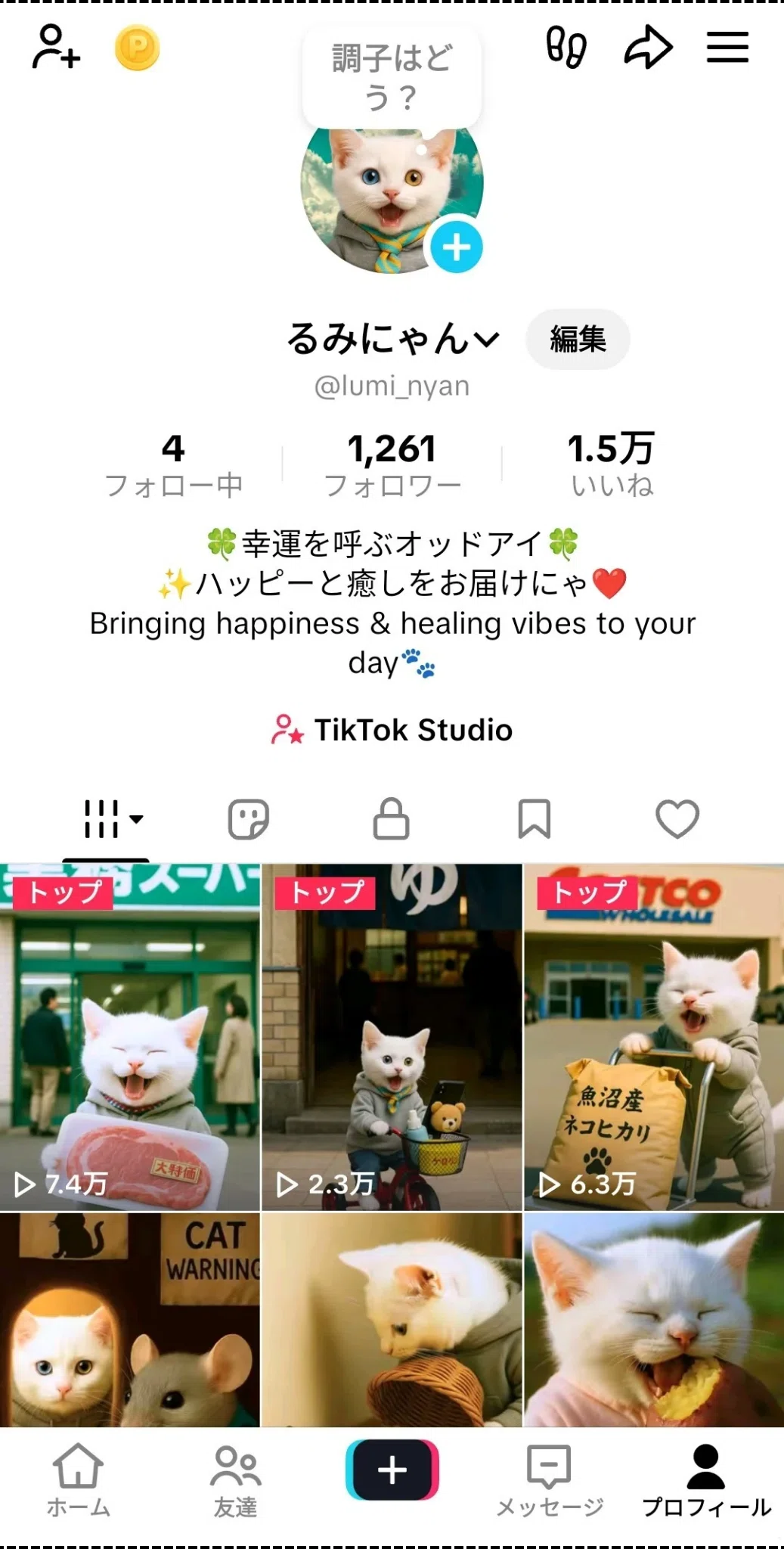 るみにゃん①】アカウント晒して、TikTokフォロワー1万人と収益化を