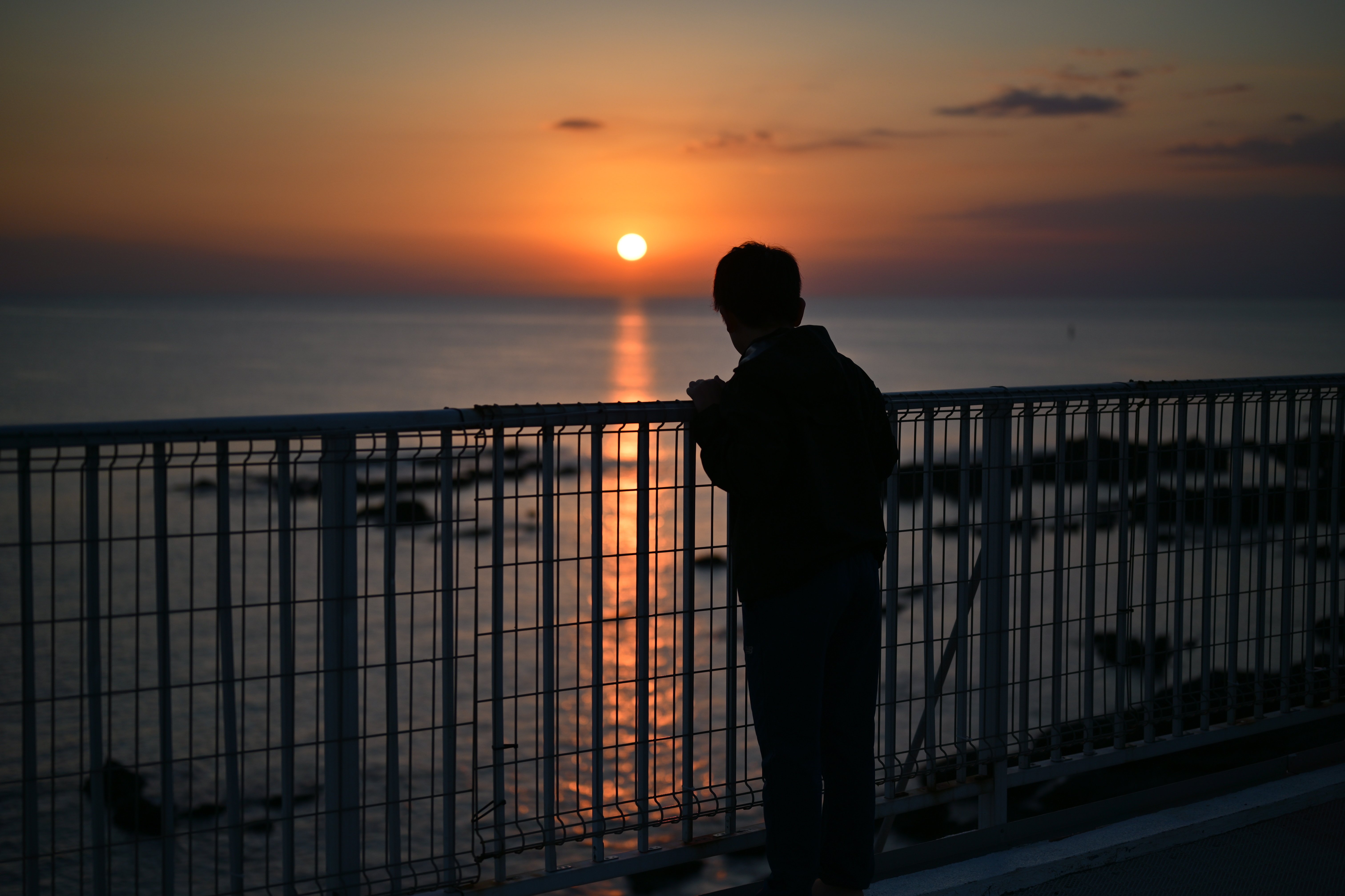 買ってよかったもの2025】Nikon Z5II──写真が“もう一段”楽しくなった