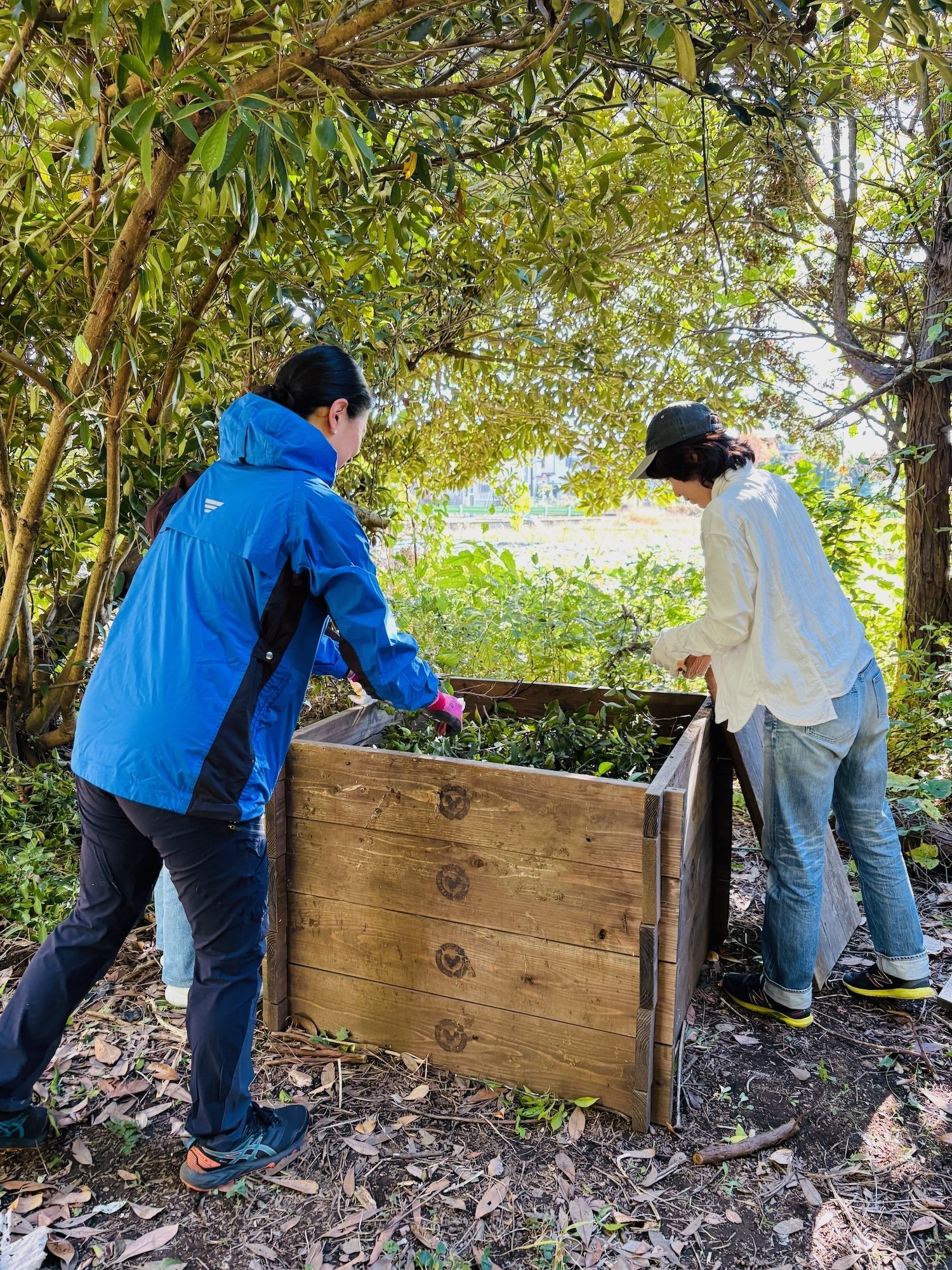 ゆずの収穫｜津田蘭子のnote