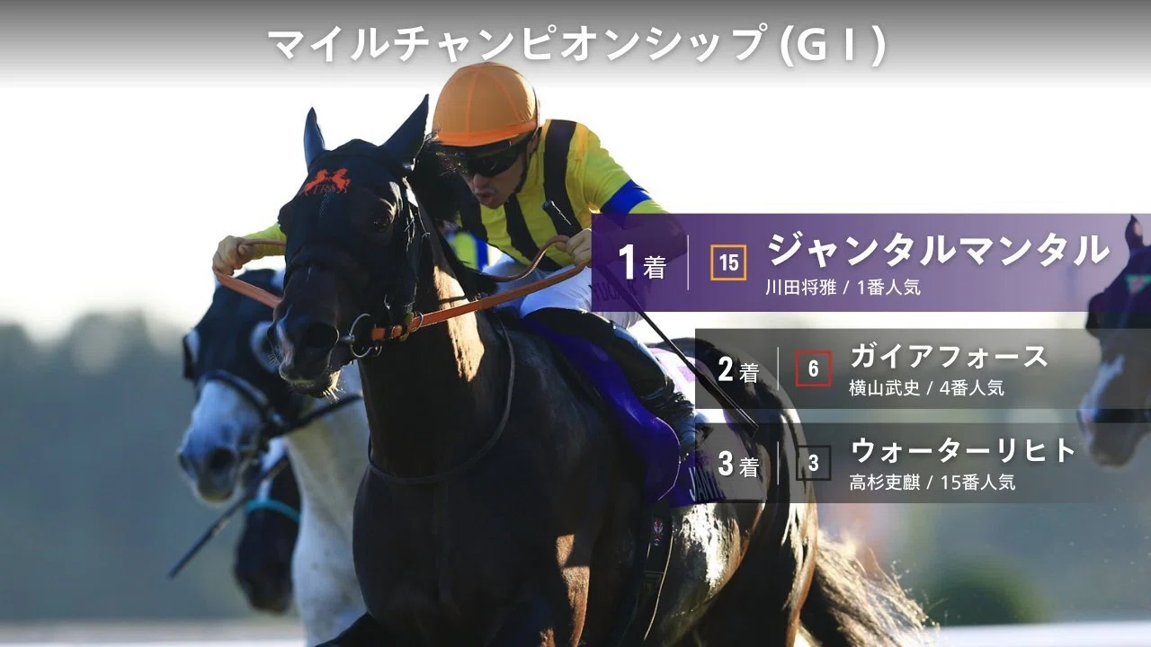 マイルチャンピオンシップ（GⅠ）回顧】推奨馬ラヴァンダ16着～何処へ
