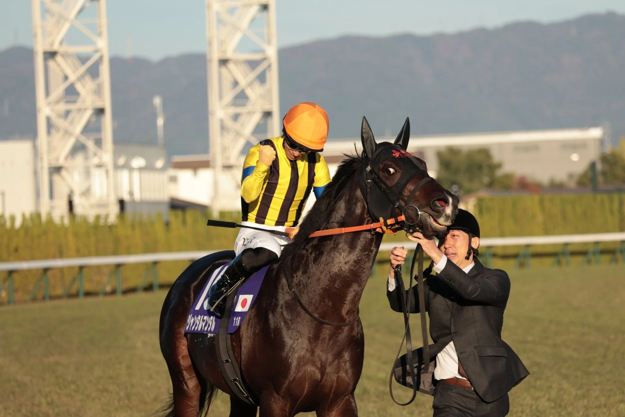 マイルチャンピオンシップ（GⅠ）回顧】推奨馬ラヴァンダ16着～何処へ