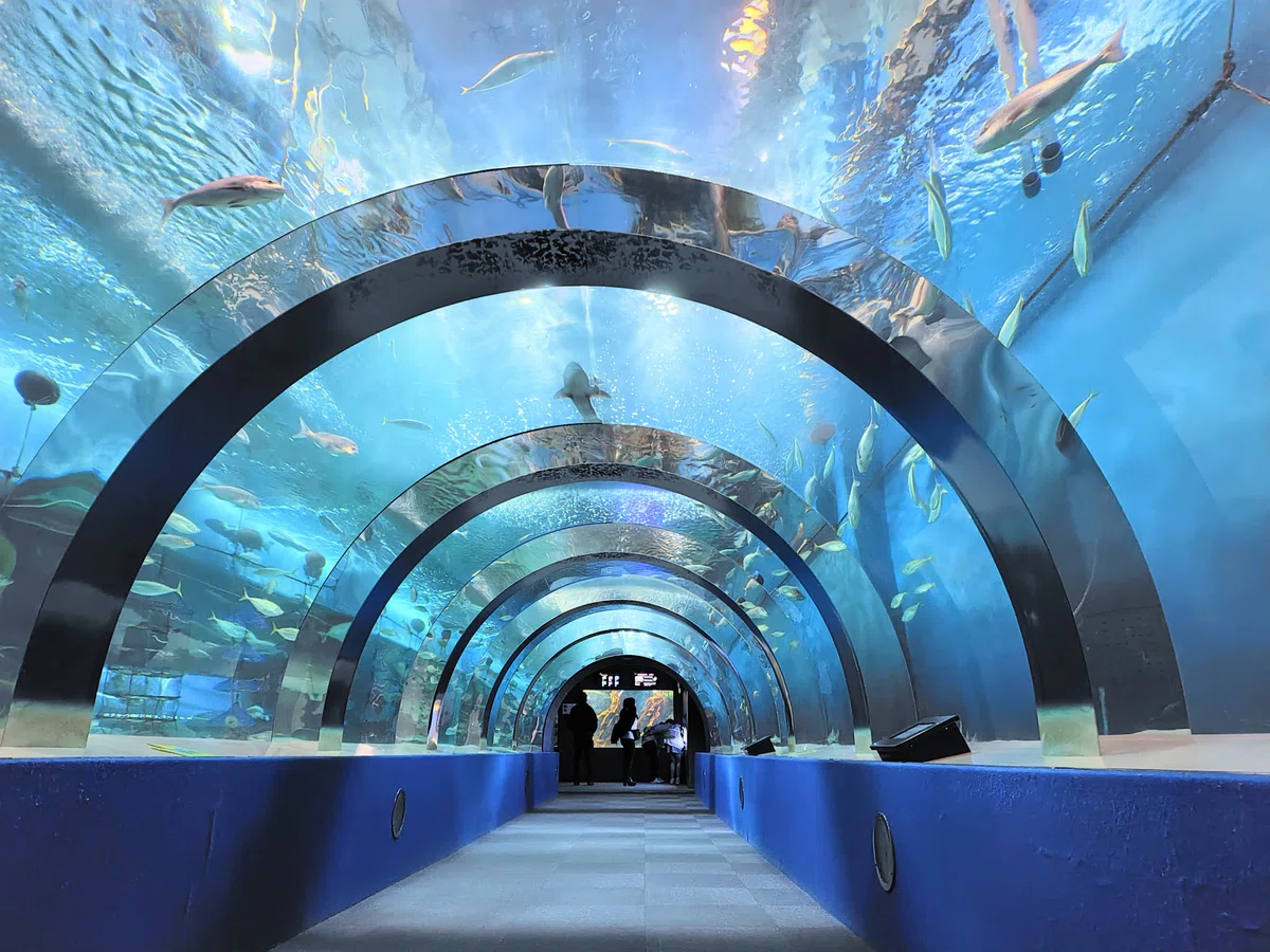 【観光】見るも良し･食べるも良し･楽しむも良し、青森の海を学ぶ浅虫水族館…