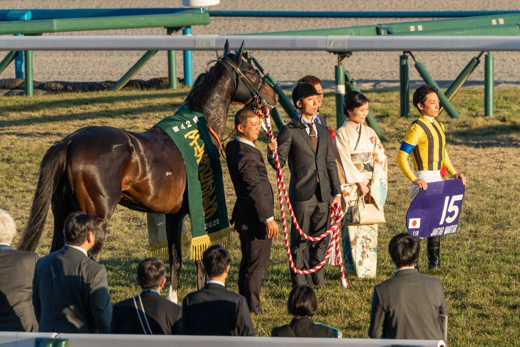 マイルチャンピオンシップ（GⅠ）回顧】推奨馬ラヴァンダ16着～何処へ