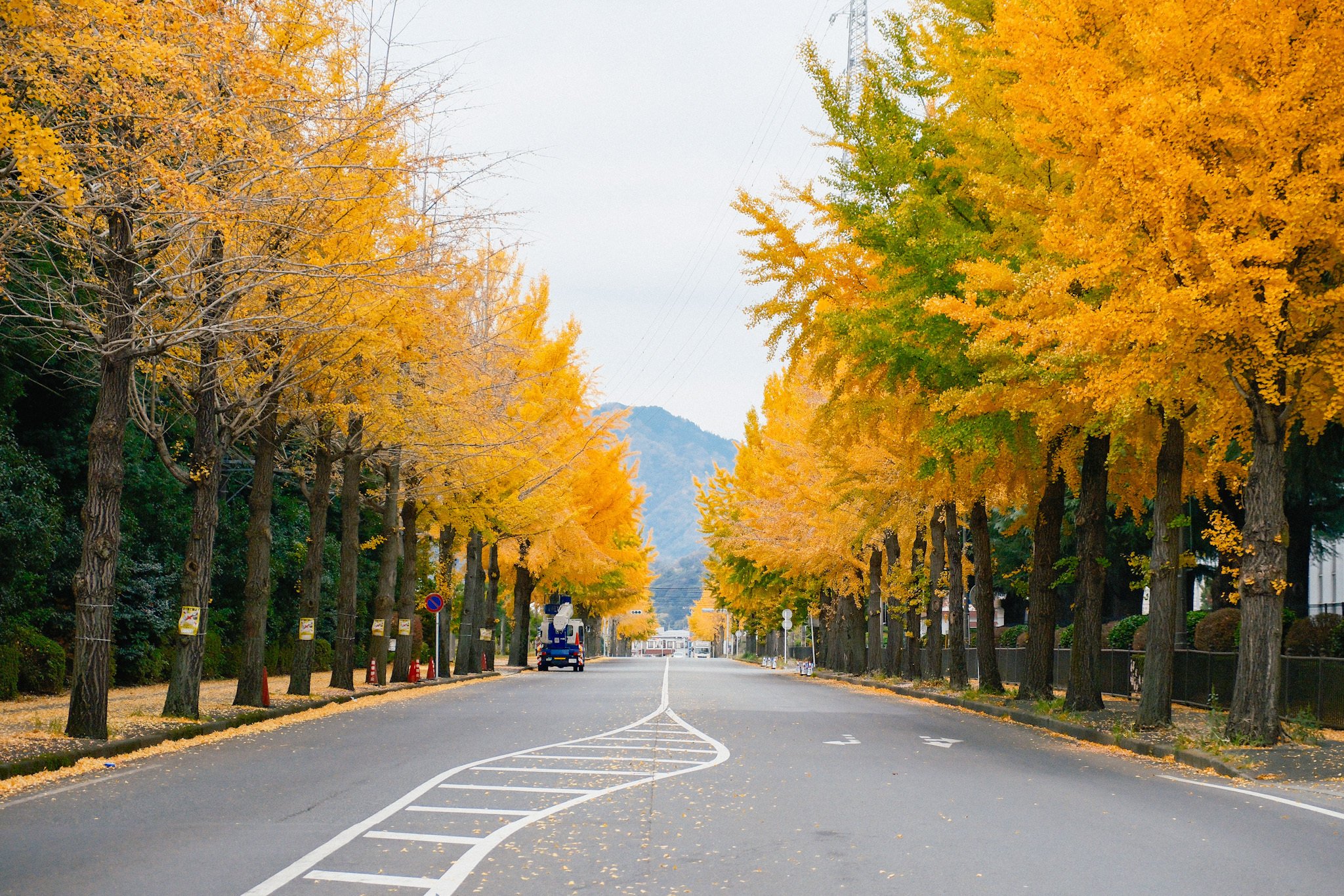 2025年の今だからこそX-T5という選択肢｜kEigo