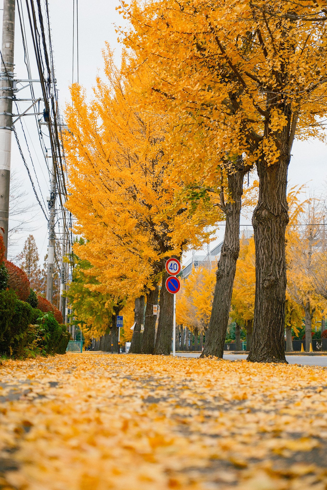 2025年の今だからこそX-T5という選択肢｜kEigo