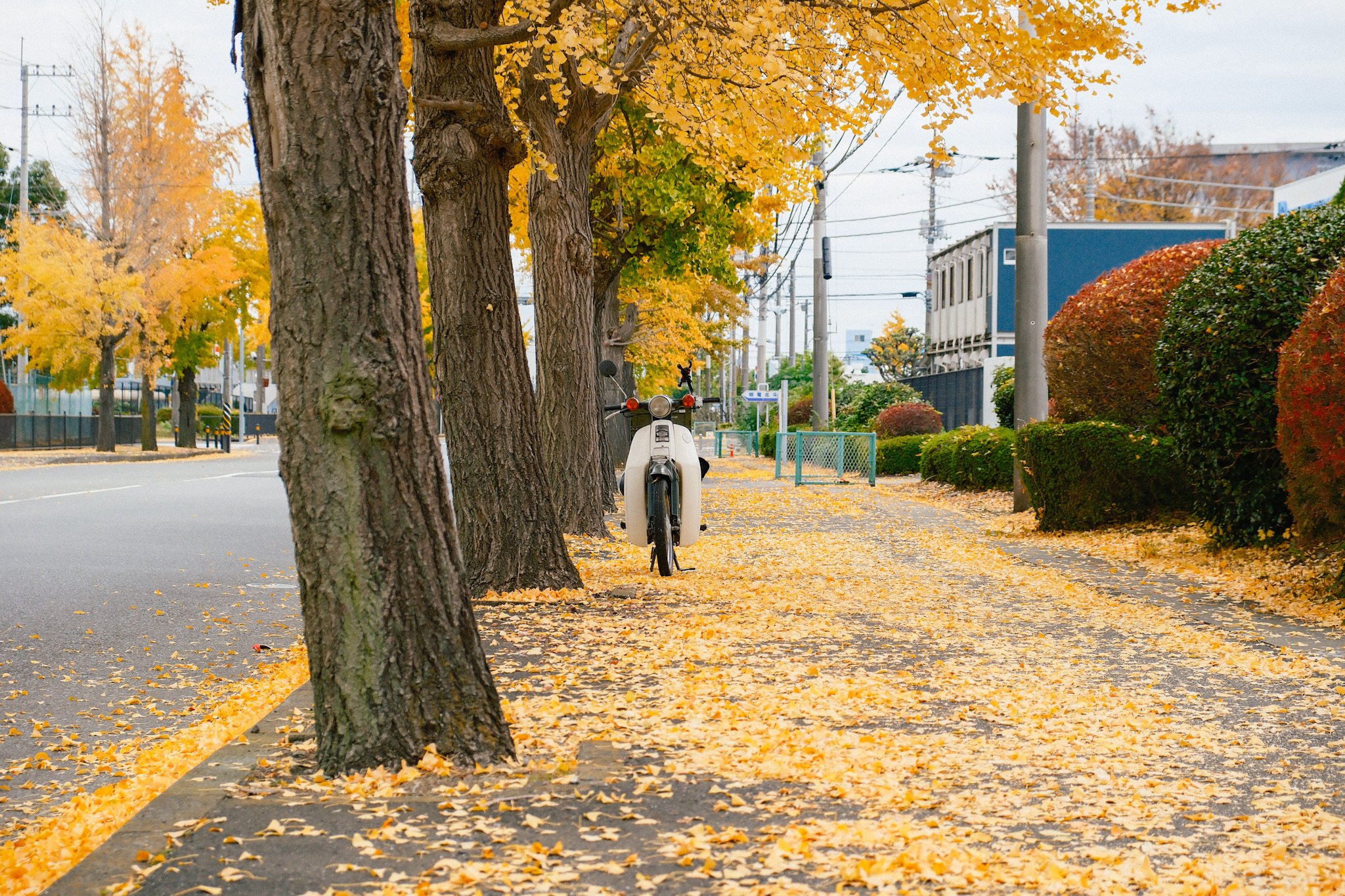 2025年の今だからこそX-T5という選択肢｜kEigo