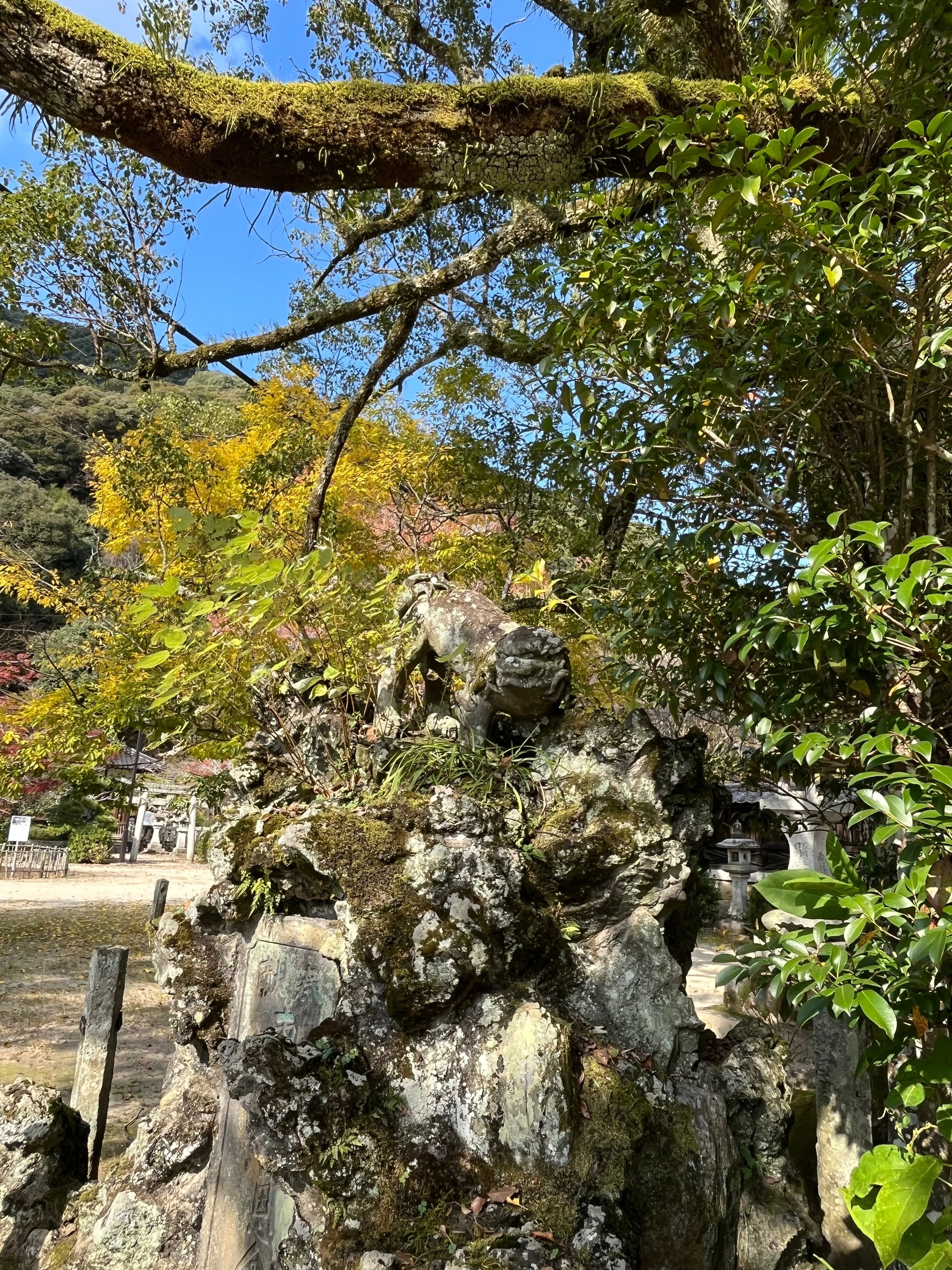錦帯橋の白蛇さま｜sophia trip