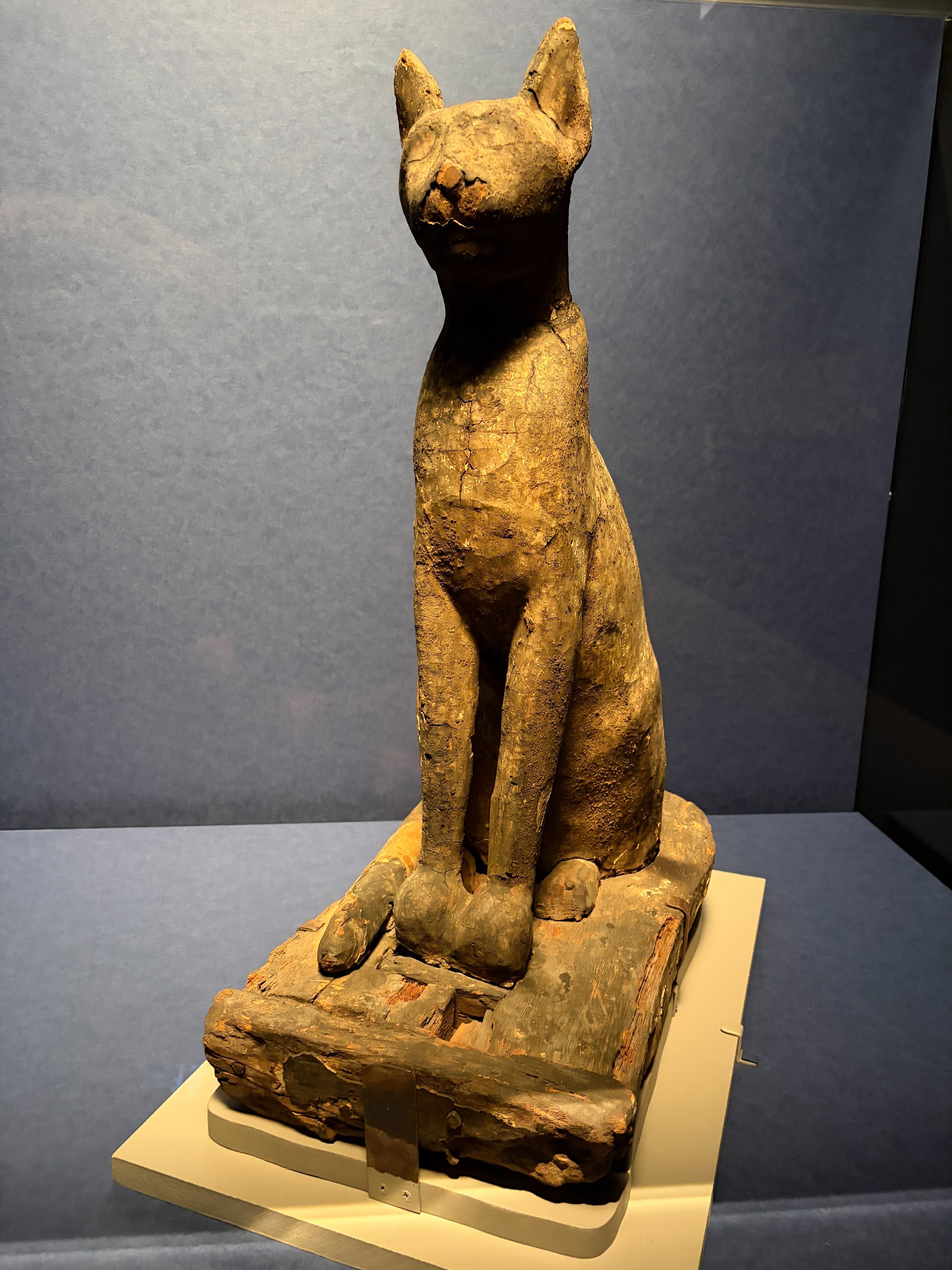 広島にて 古代エジプト展｜まなきねこ