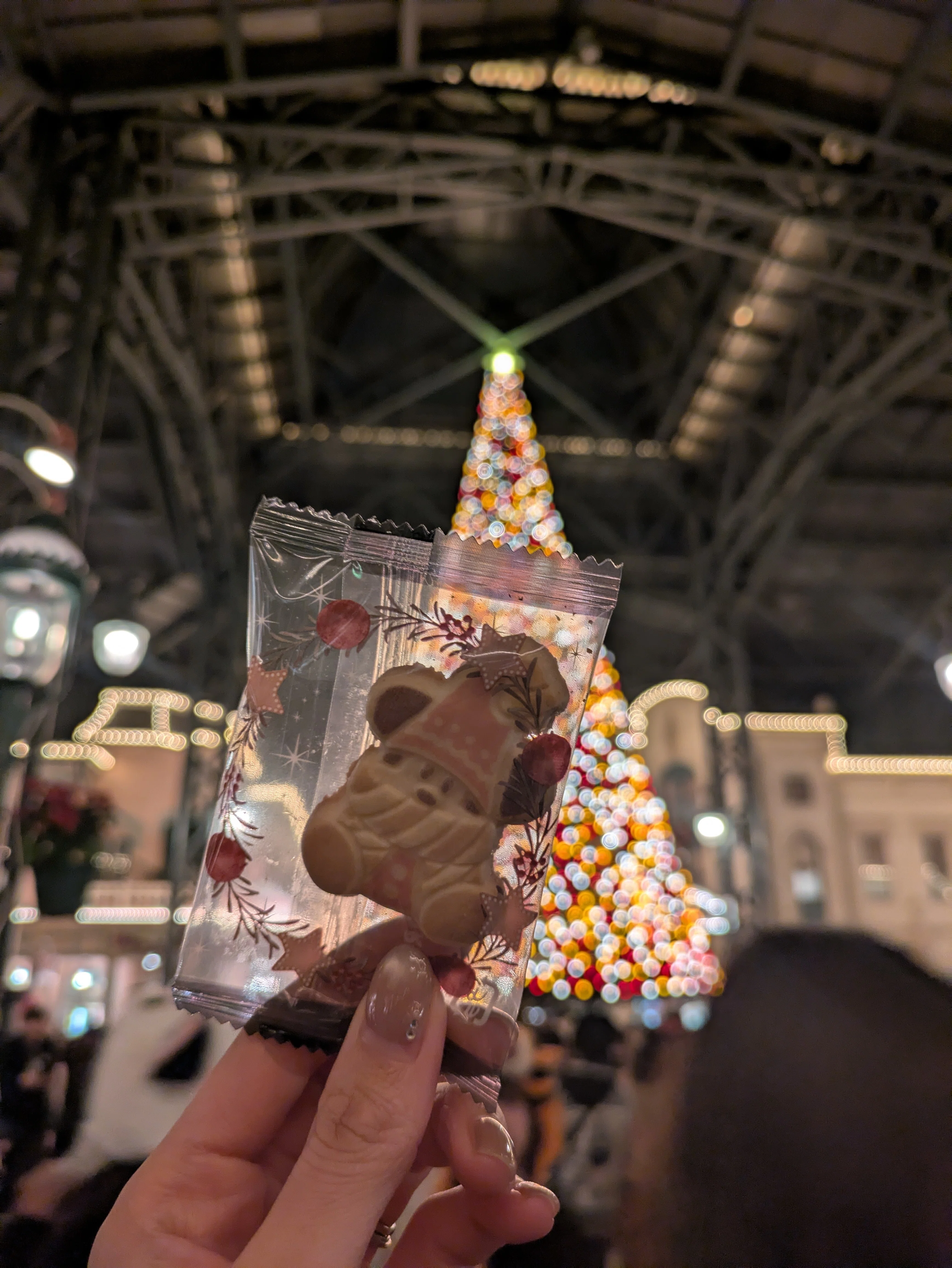 運が良すぎたディズニークリスマス2025Vlog🎄｜satsuki🕊️
