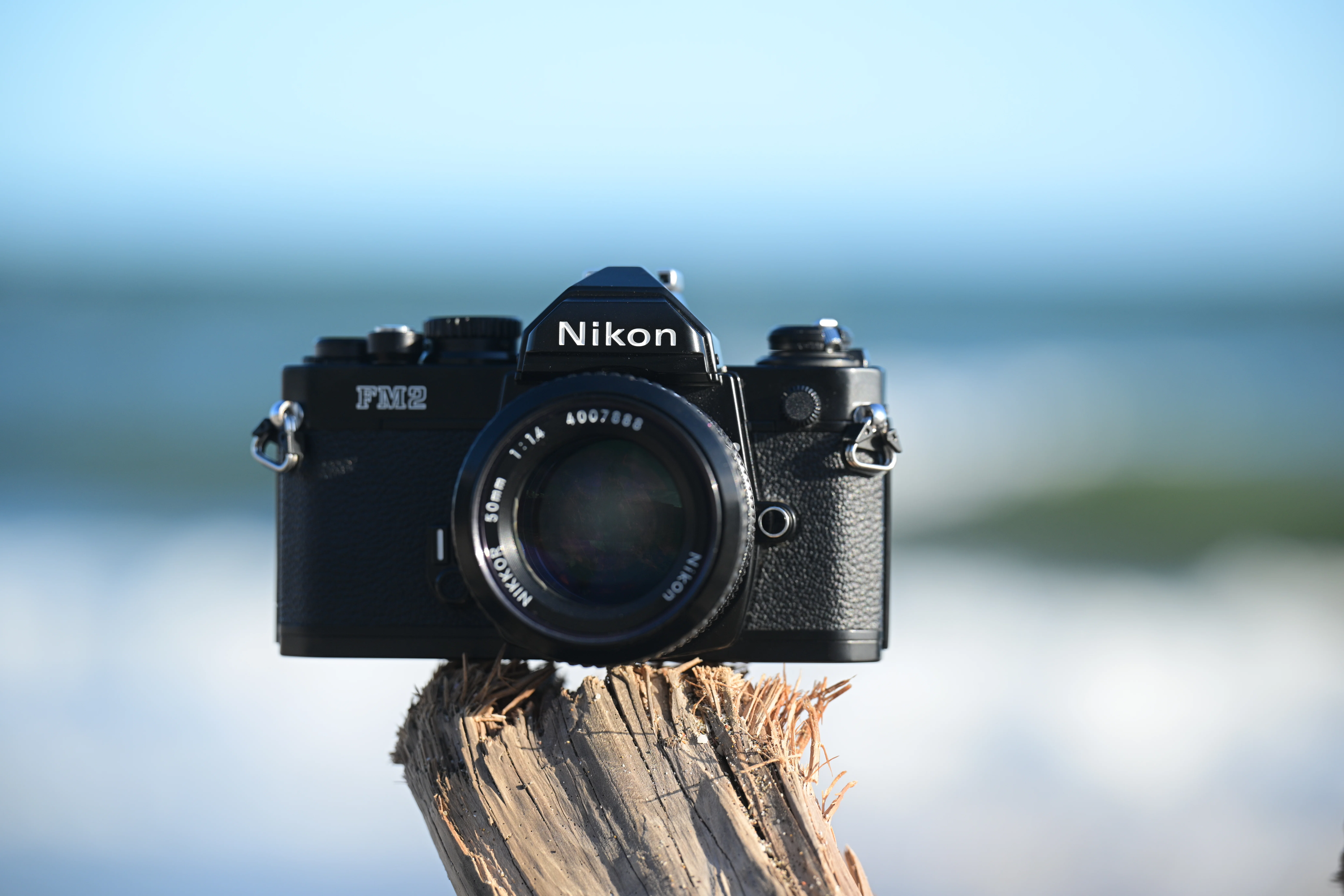 80万円のNikon Z9を使う現役大学生私が、あえて今「フィルムカメラ」を