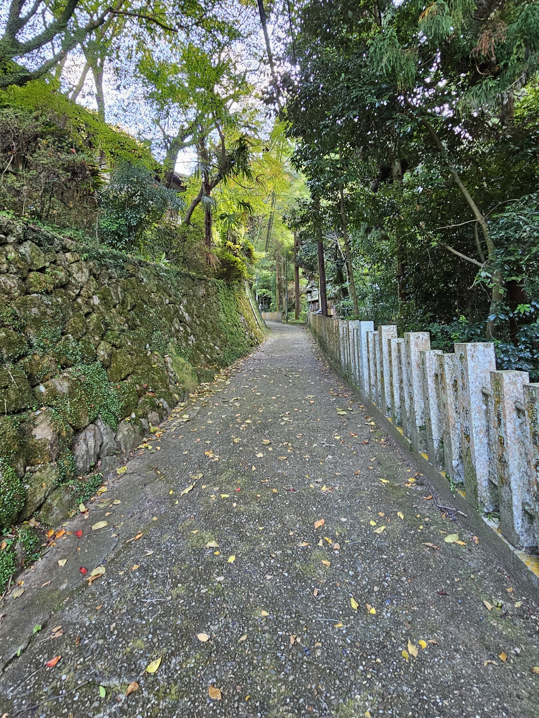 社寺散歩｜天照大神高座神社・岩戸神社｜大阪・八尾市｜全国唯一、天照