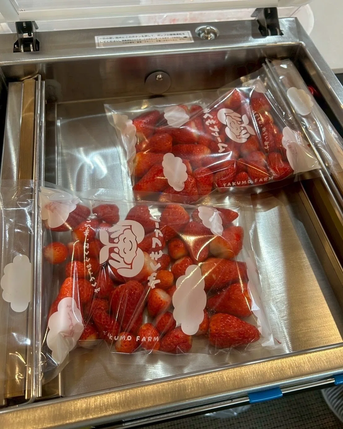 Our Special Frozen Strawberries🍓❄️】 May 13, 2025｜やくも