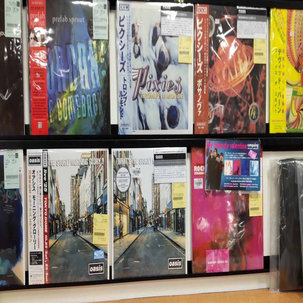 ジャケ買いというか、ジャケ飾りたい｜スマセン