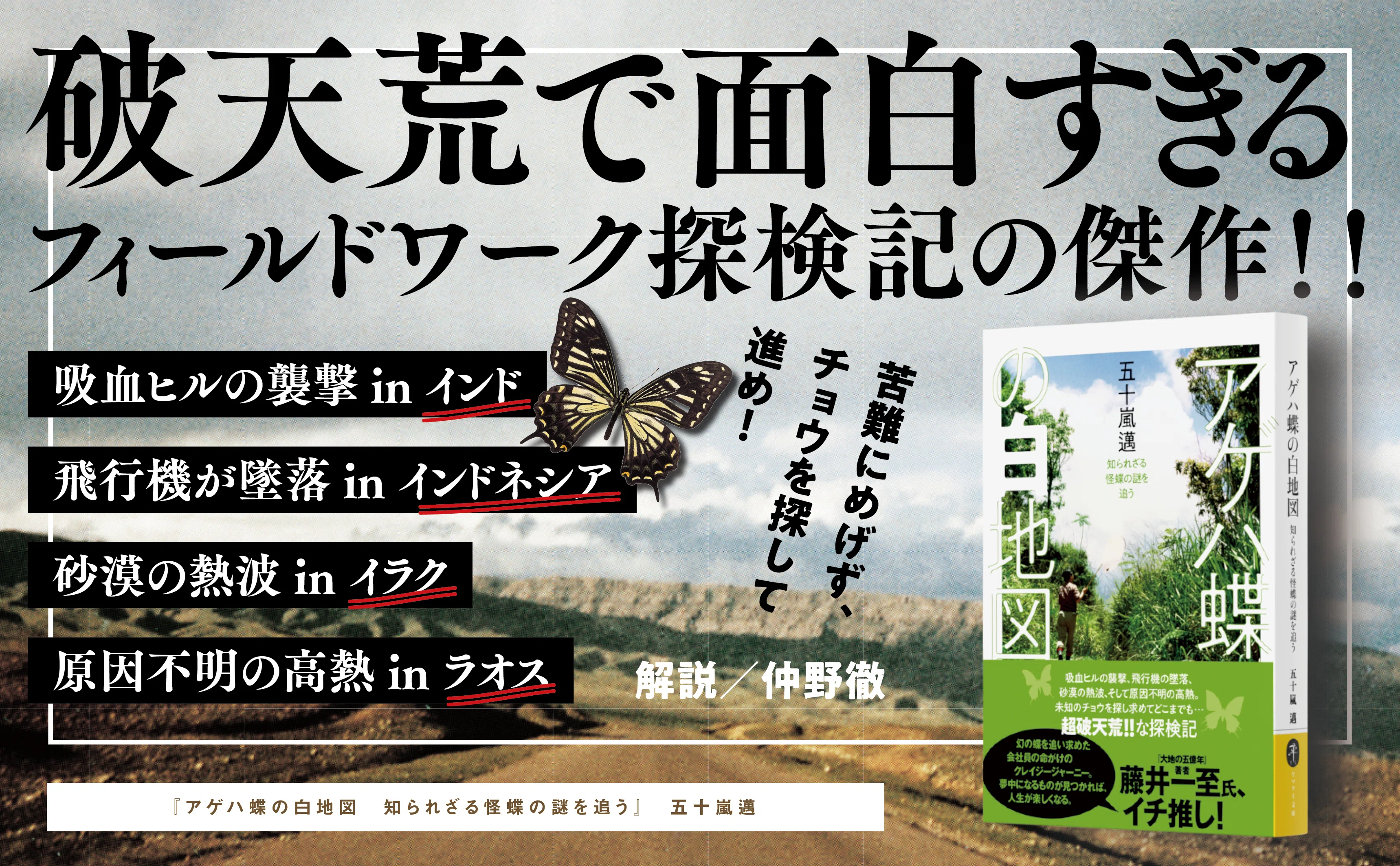 ネパールの山であやうく遭難…それでも蝶を探し続けた研究者の話【その