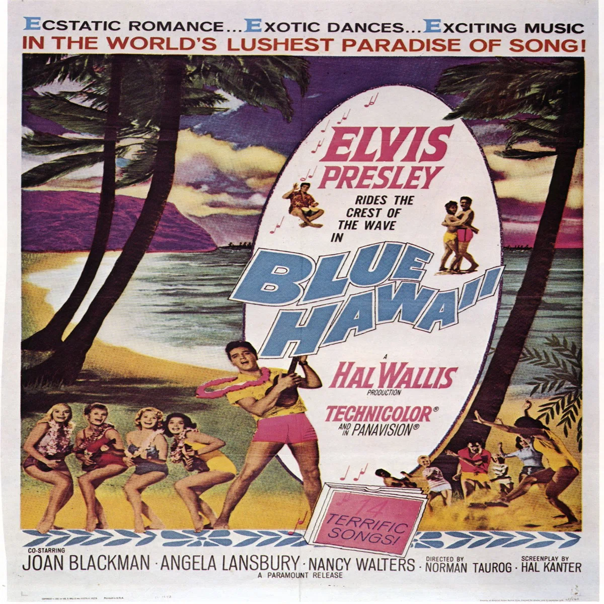 洋楽を通して学ぶ英語【Blue Hawaii】｜Barbara Sensei