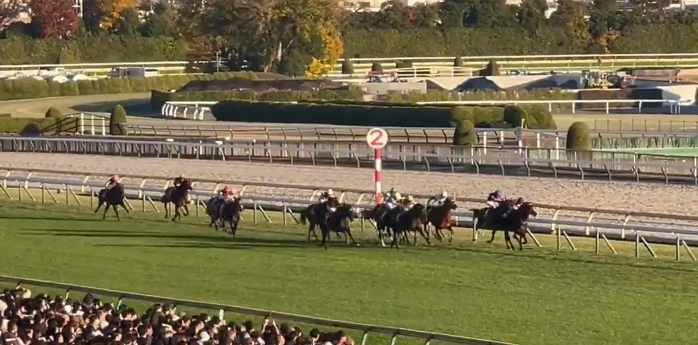 東京スポーツ杯2歳S（GⅡ）回顧】推奨馬パントルナイーフ1着～相手馬