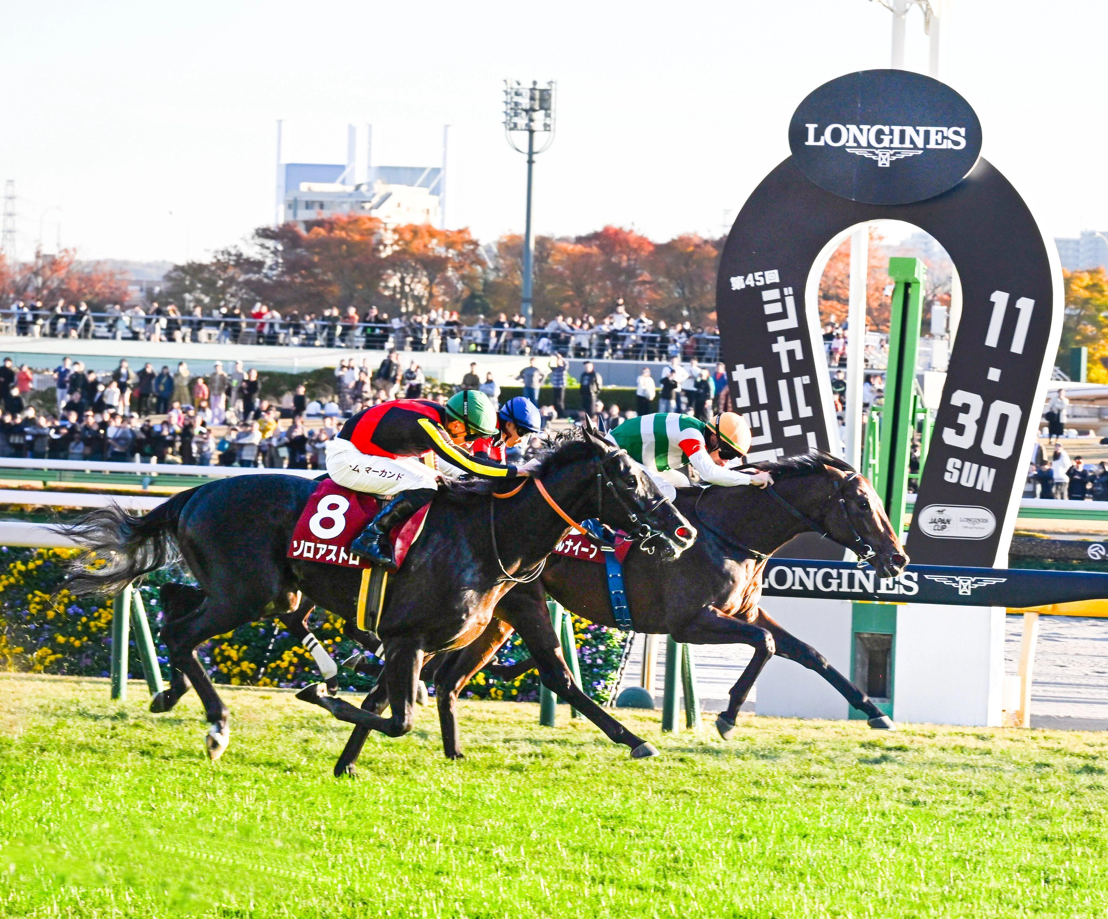 東京スポーツ杯2歳S（GⅡ）回顧】推奨馬パントルナイーフ1着～相手馬