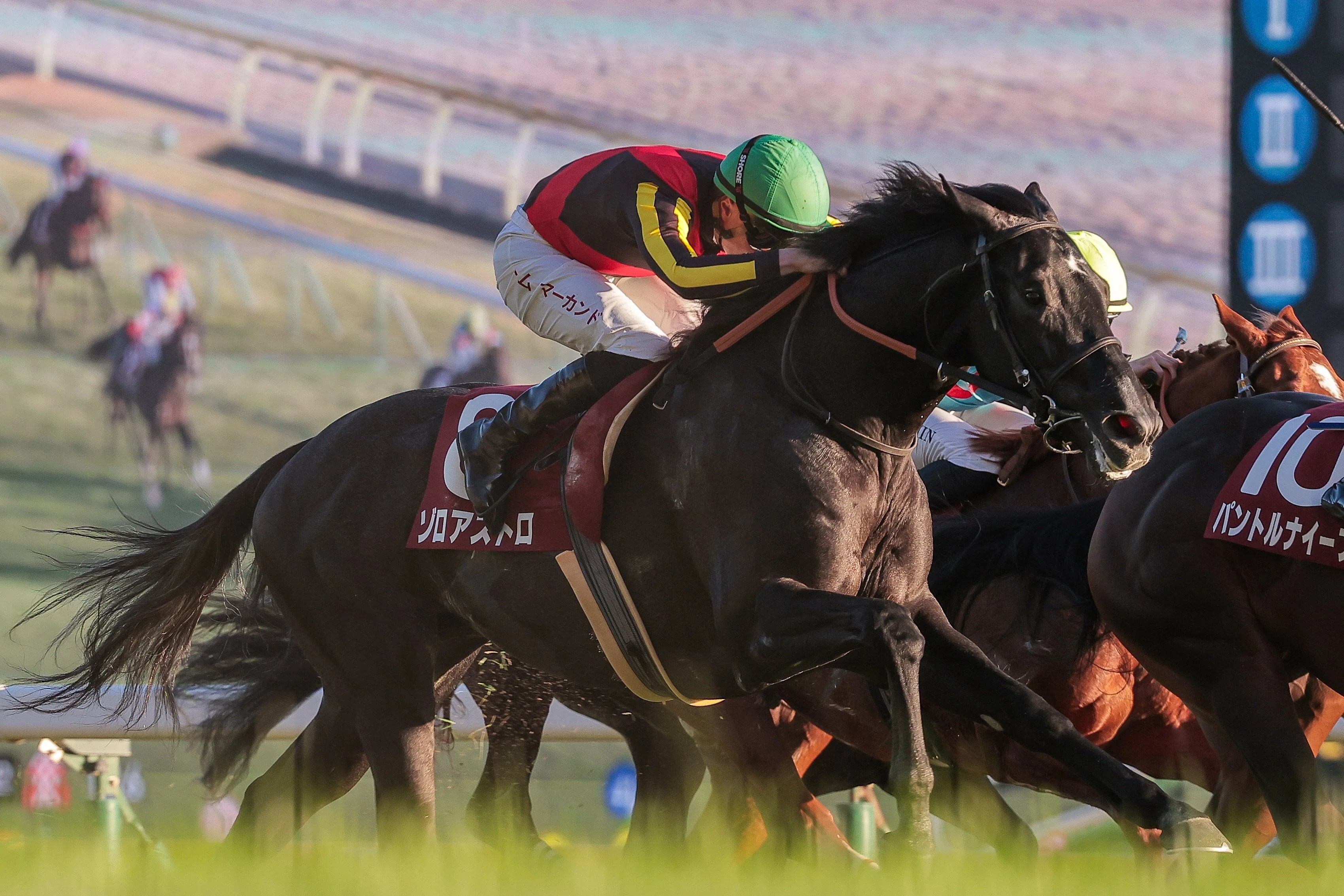 東京スポーツ杯2歳S（GⅡ）回顧】推奨馬パントルナイーフ1着～相手馬