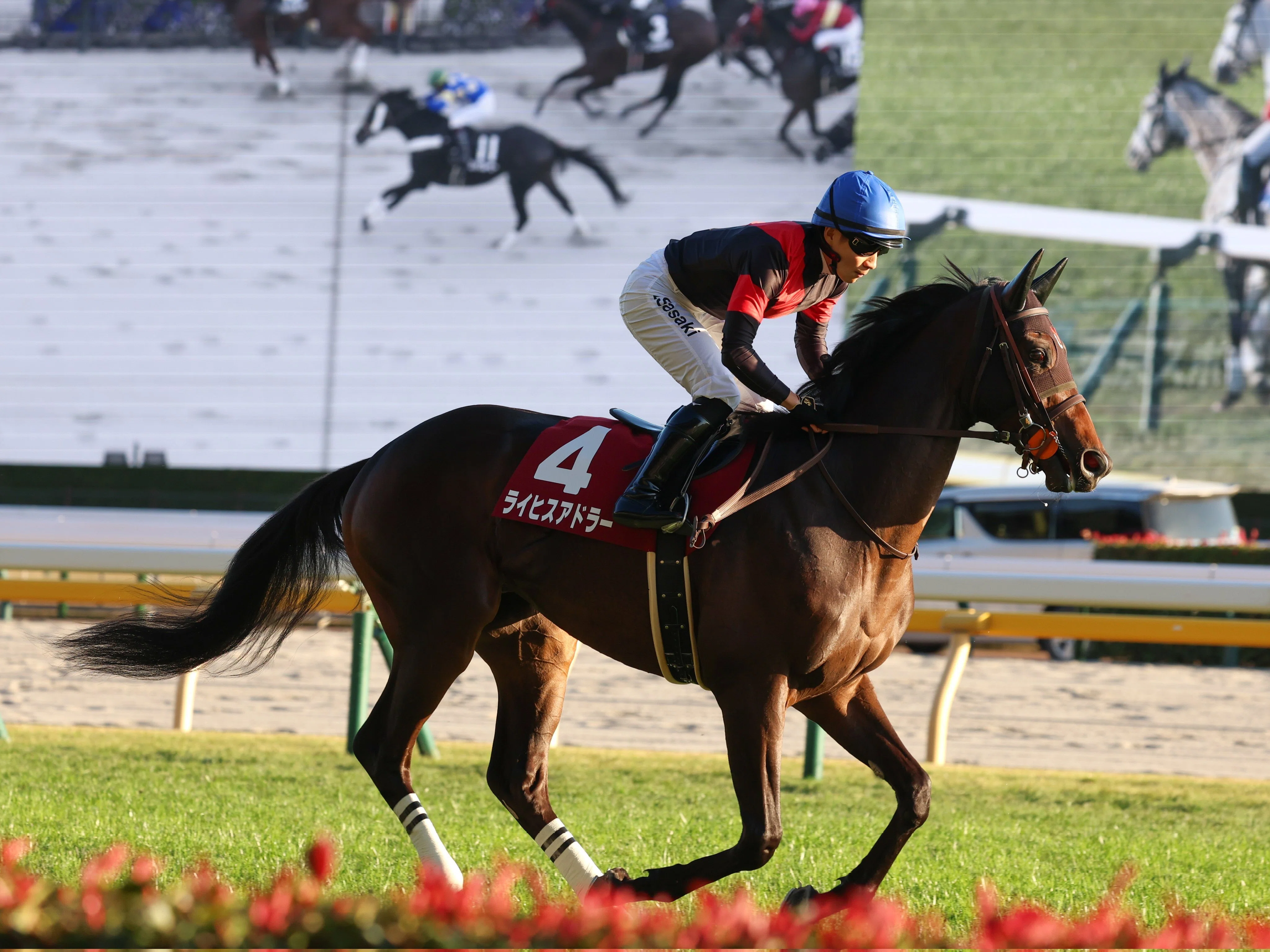 東京スポーツ杯2歳S（GⅡ）回顧】推奨馬パントルナイーフ1着～相手馬