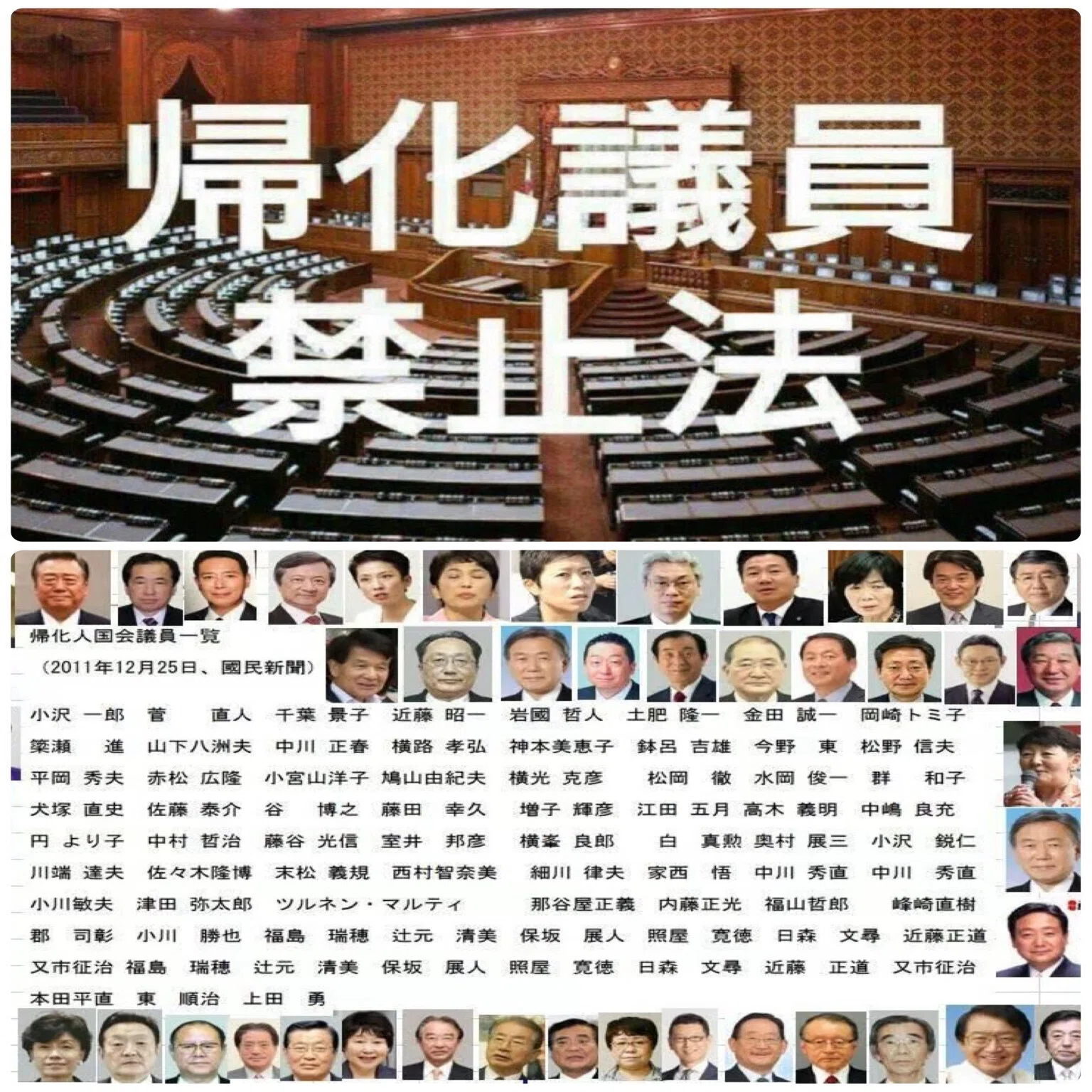 Grok:日本国籍帰化議員一覧｜Kinny