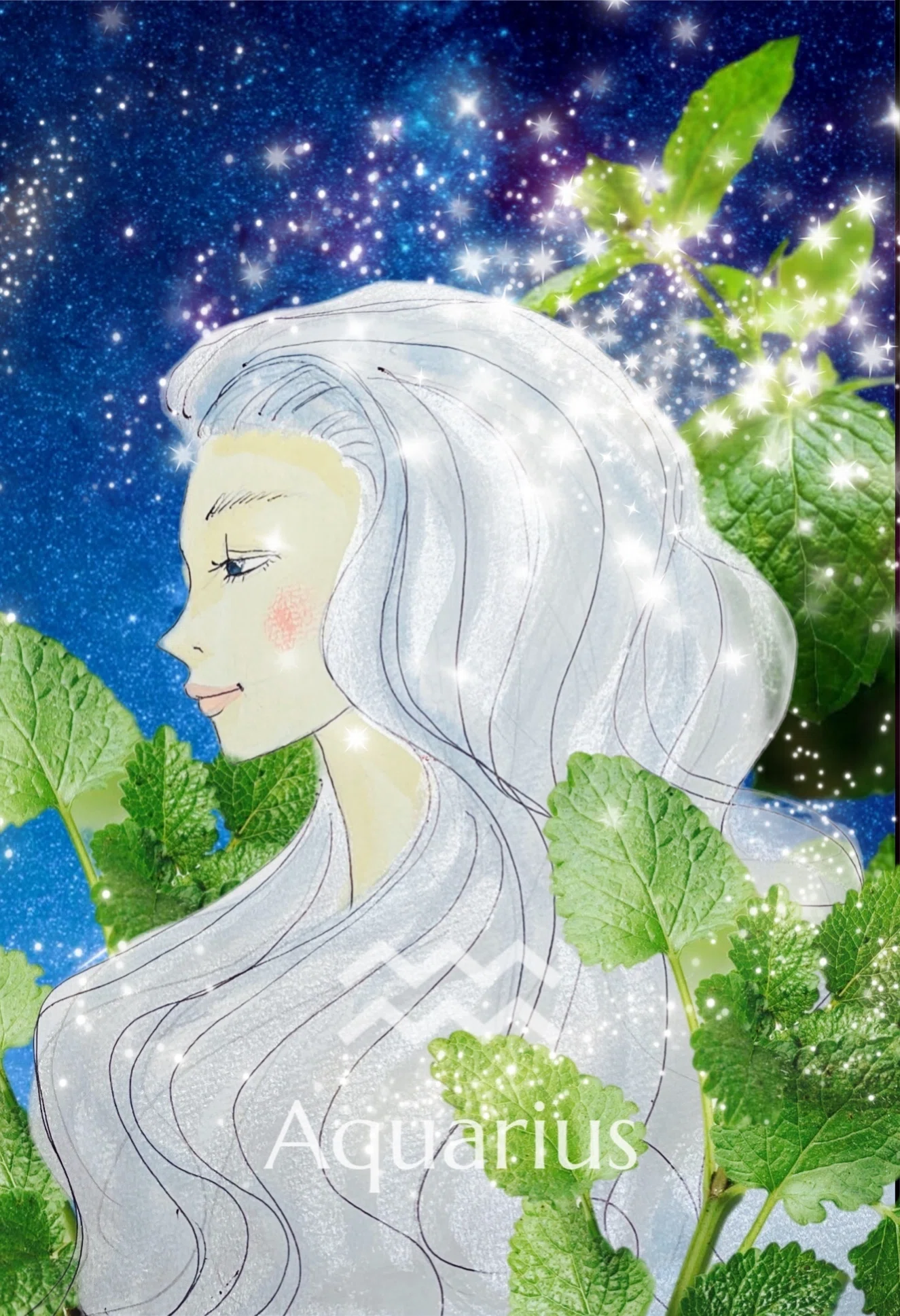 月は水瓶座へ、未来の風を呼ぶハーブ・レモンバーム｜ANIMA JOURNAL