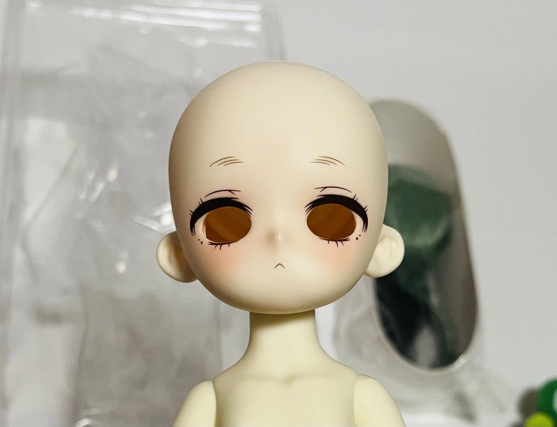 TinyFoxがうちにきた｜我々野クロ