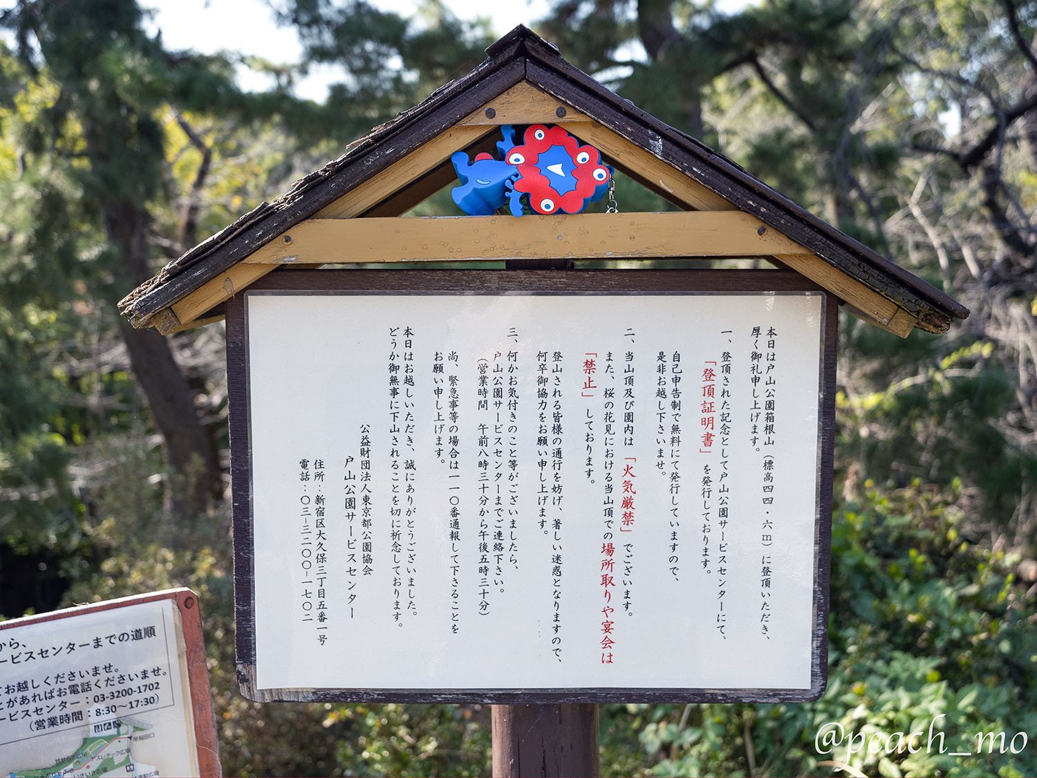 ゆるり超低山リハビリさんぽ #01｜新宿区の箱根山44.6mに登って登頂