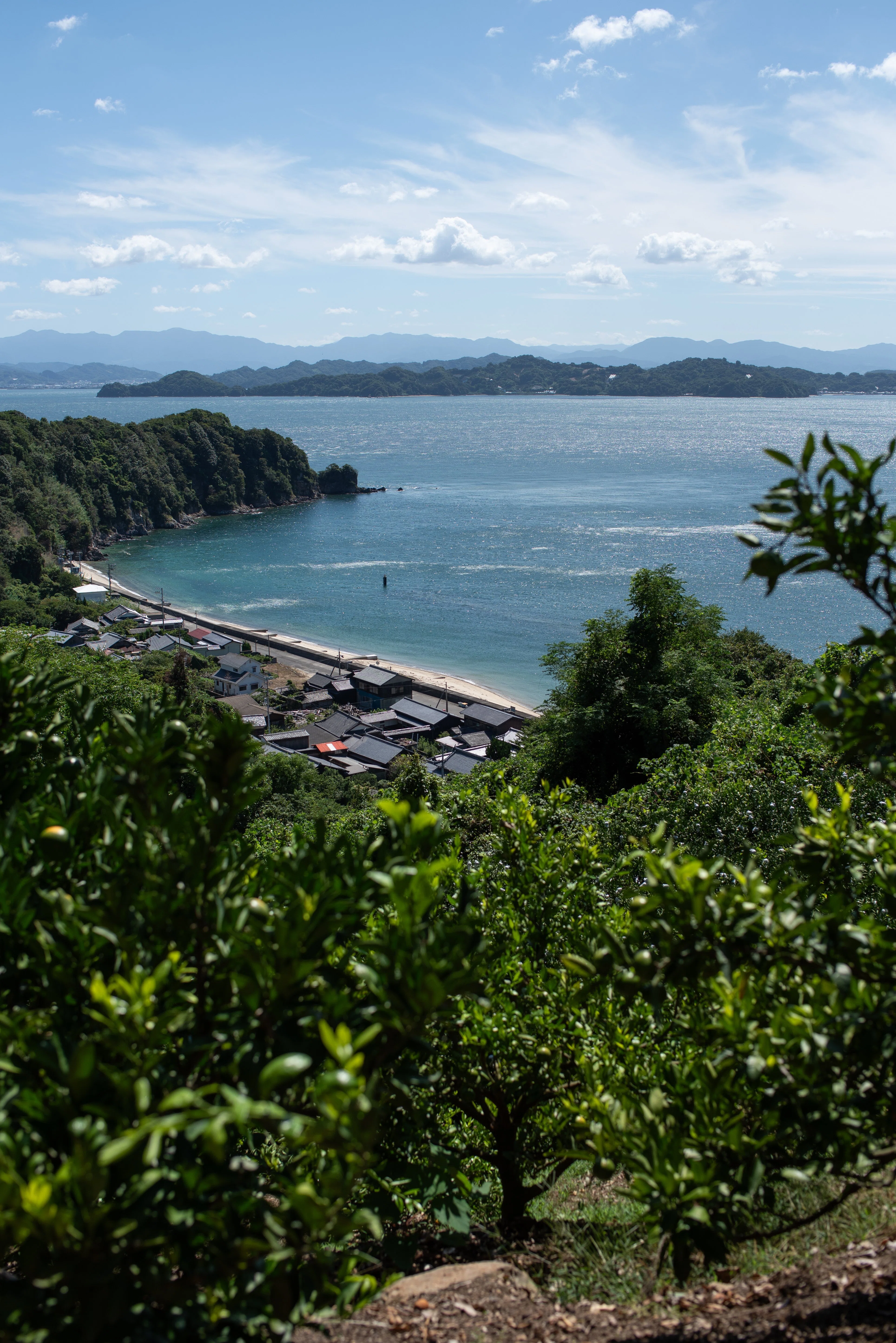 愛媛県・睦月島の晩夏を撮る｜Nikon D750｜morihito