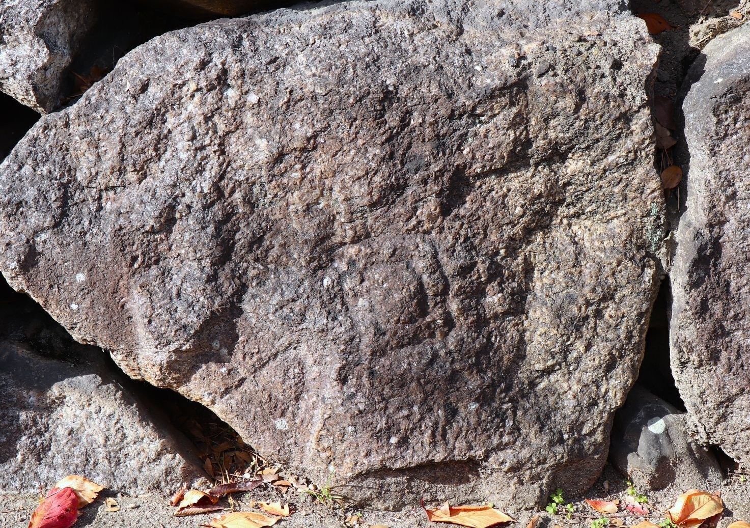 二条城】残念すぎる日本の名城 第78回特別編2｜堀川の刻印石｜やはり