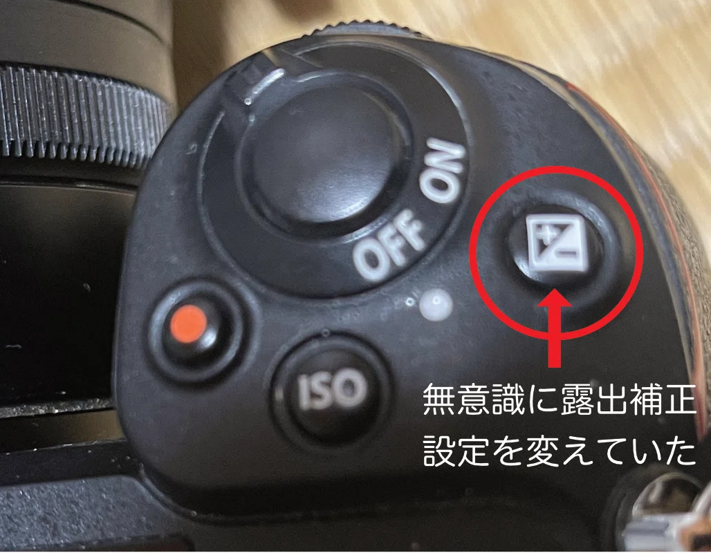 凡庸”誤”雑記「露出計故障と未来」｜kpaxs