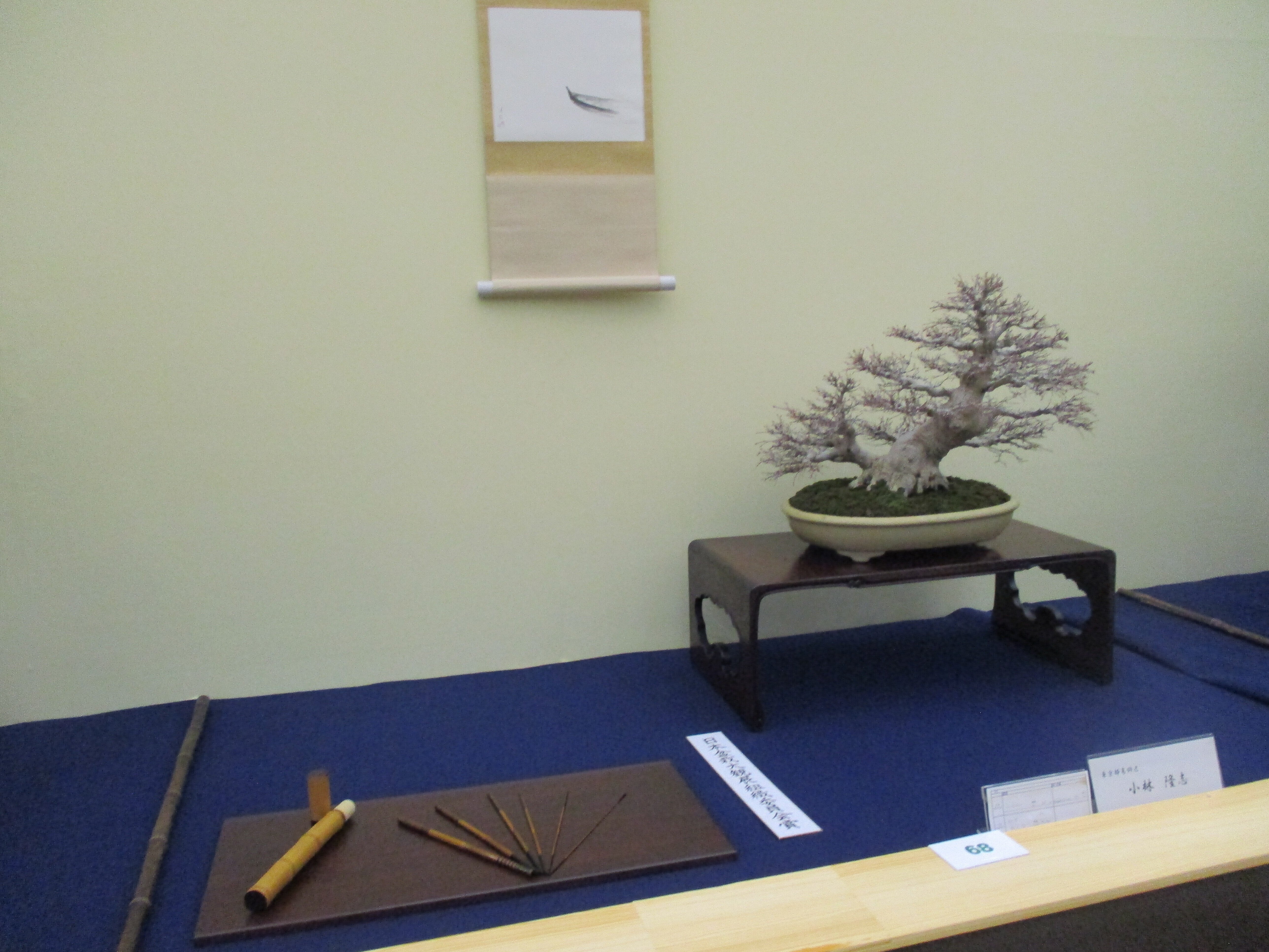 第45回 日本盆栽大観展 へ行って来ました。｜GEnKU