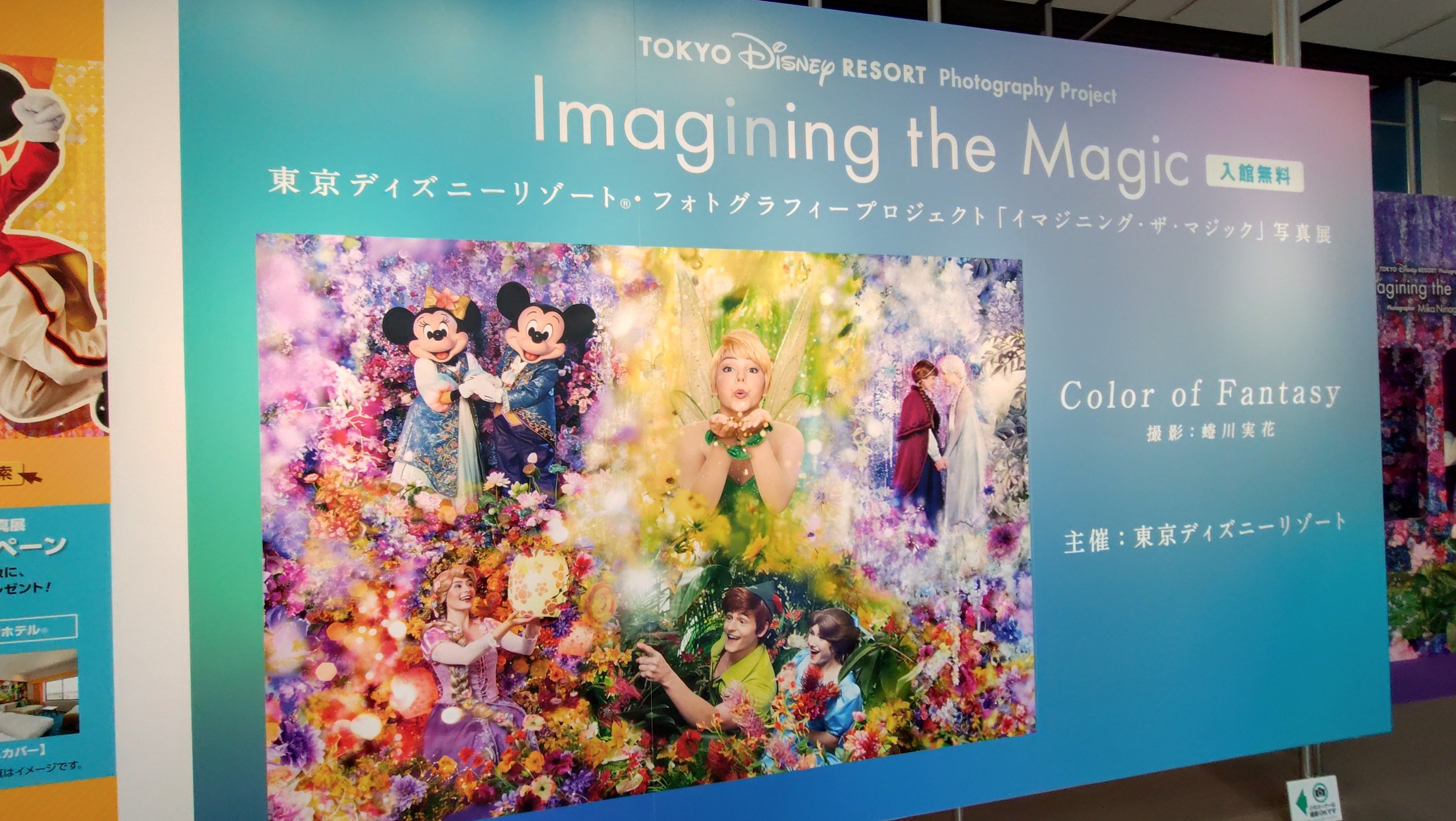 イマジニングザマジック　フォトグラフィプロジェクト　壁掛け絵画　実写写真 公式】イマジニング・ザ・マジック | 東京ディズニーリゾート