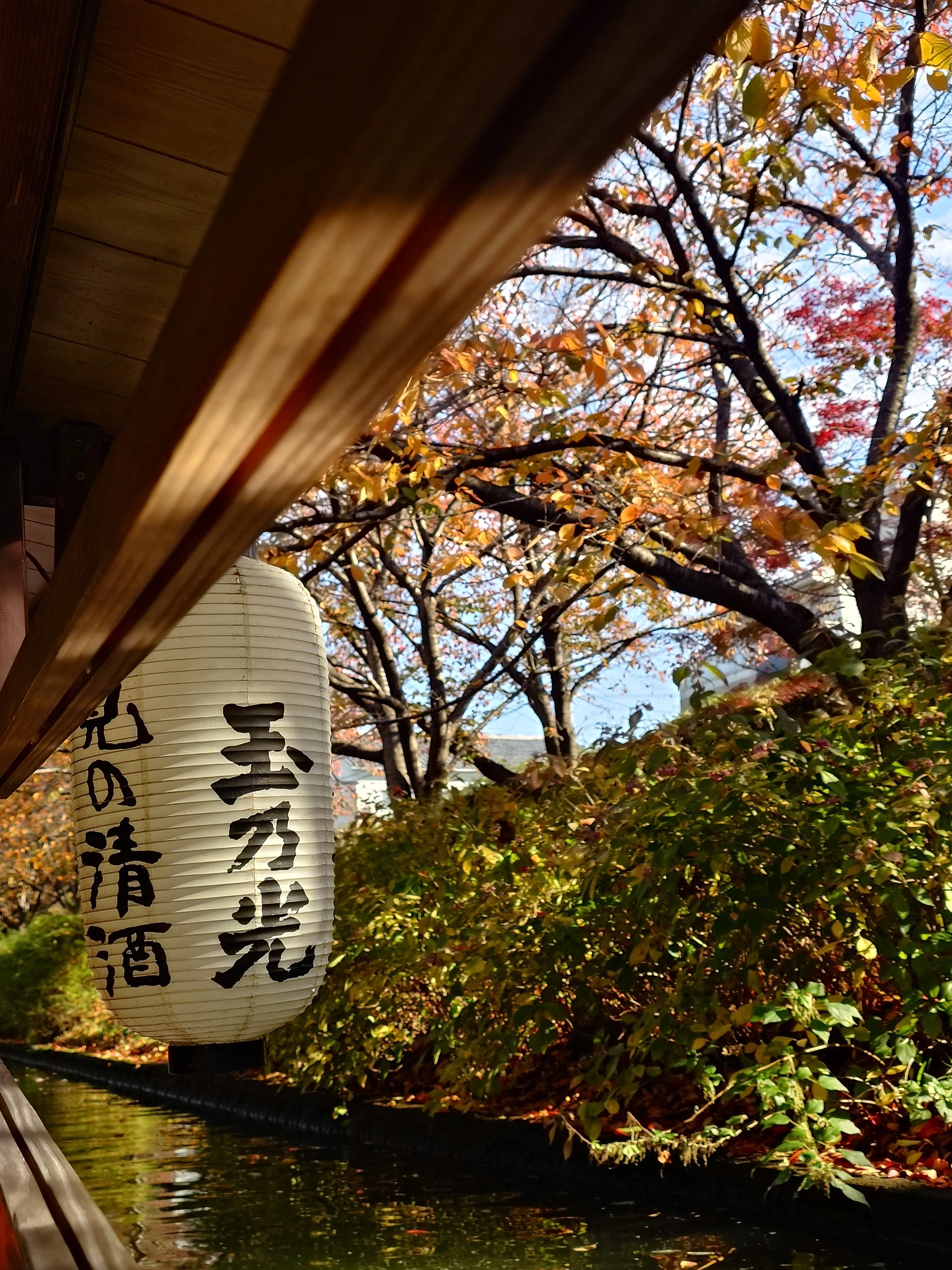 京都日記】伏見十石舟｜朝霧いお