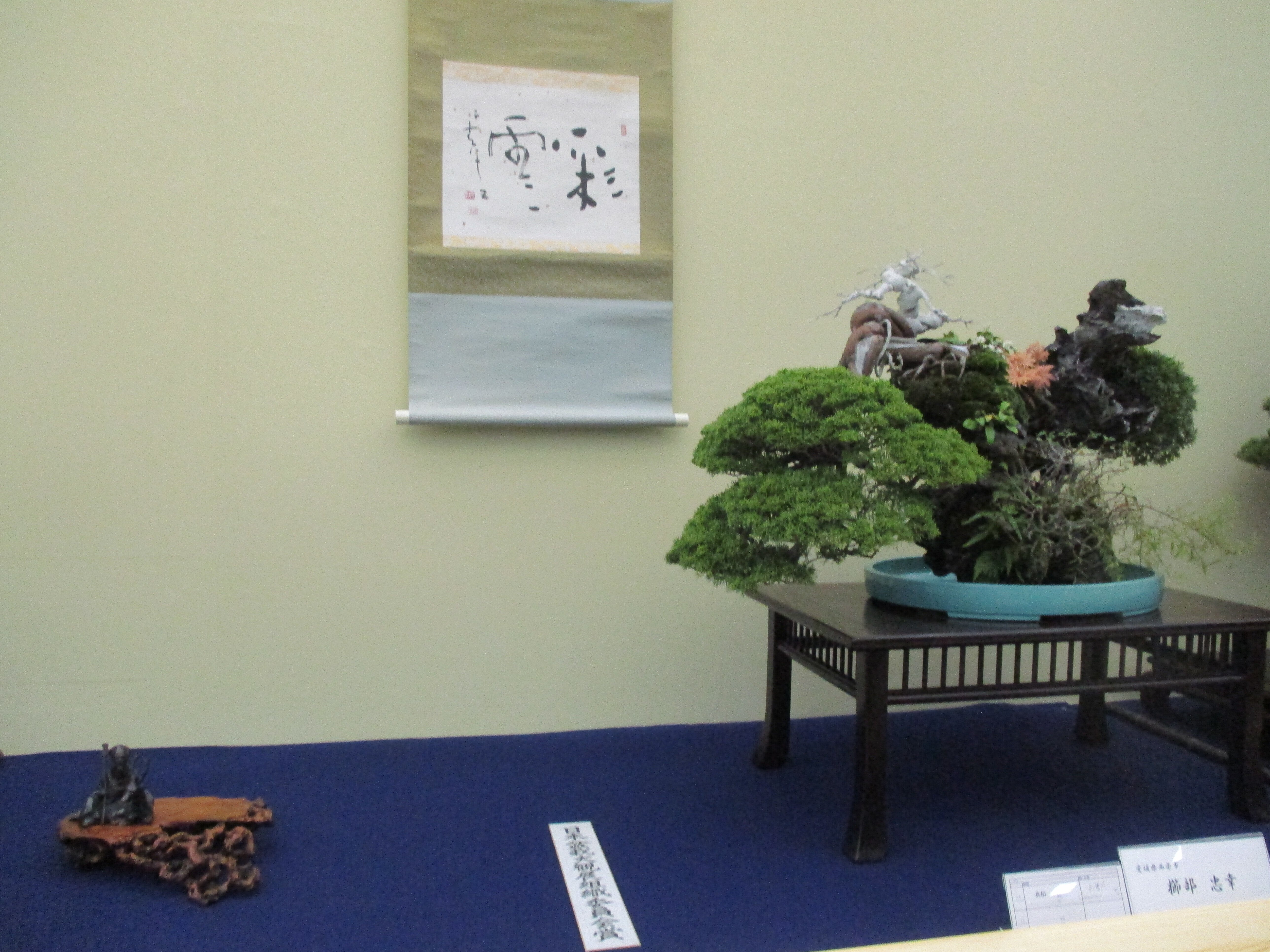 第45回 日本盆栽大観展 へ行って来ました。｜GEnKU