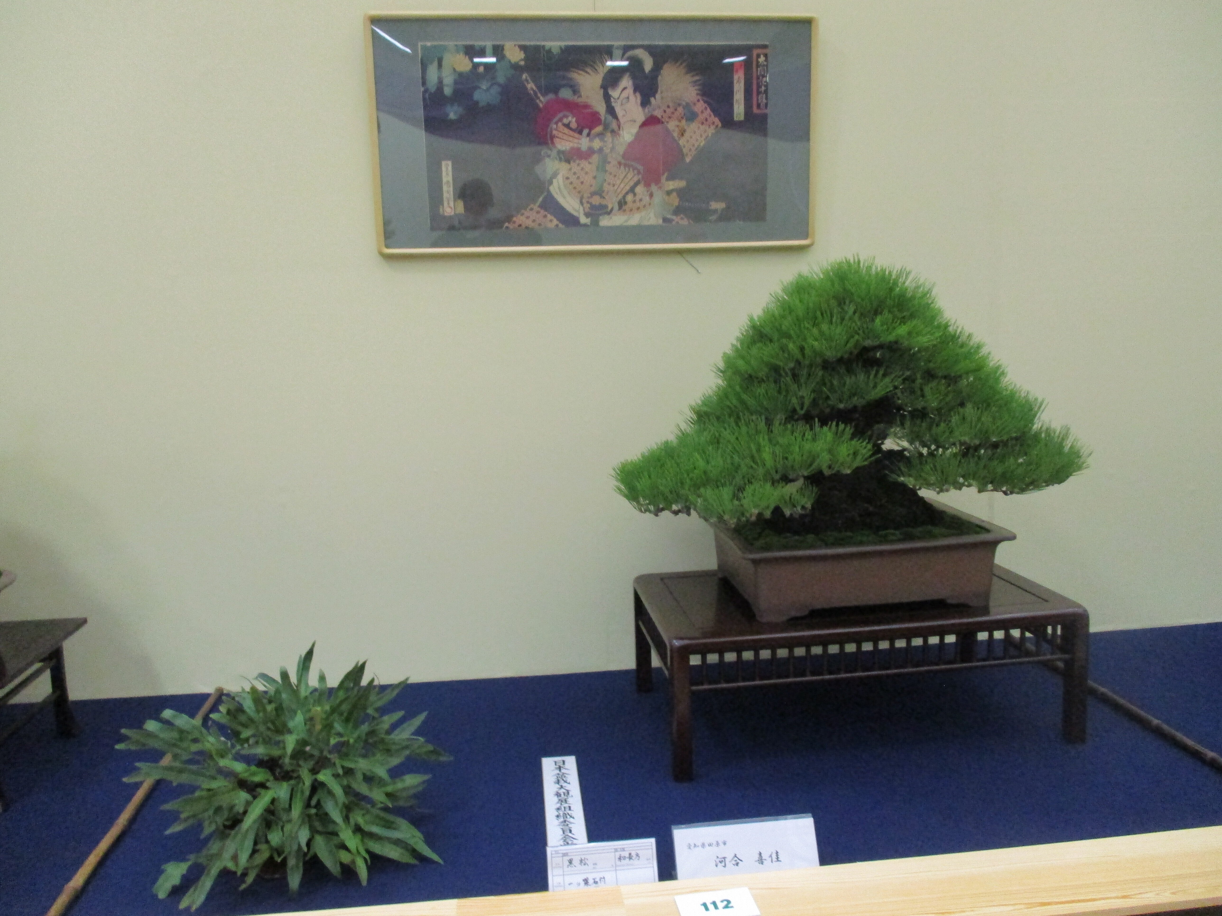 第45回 日本盆栽大観展 へ行って来ました。｜GEnKU