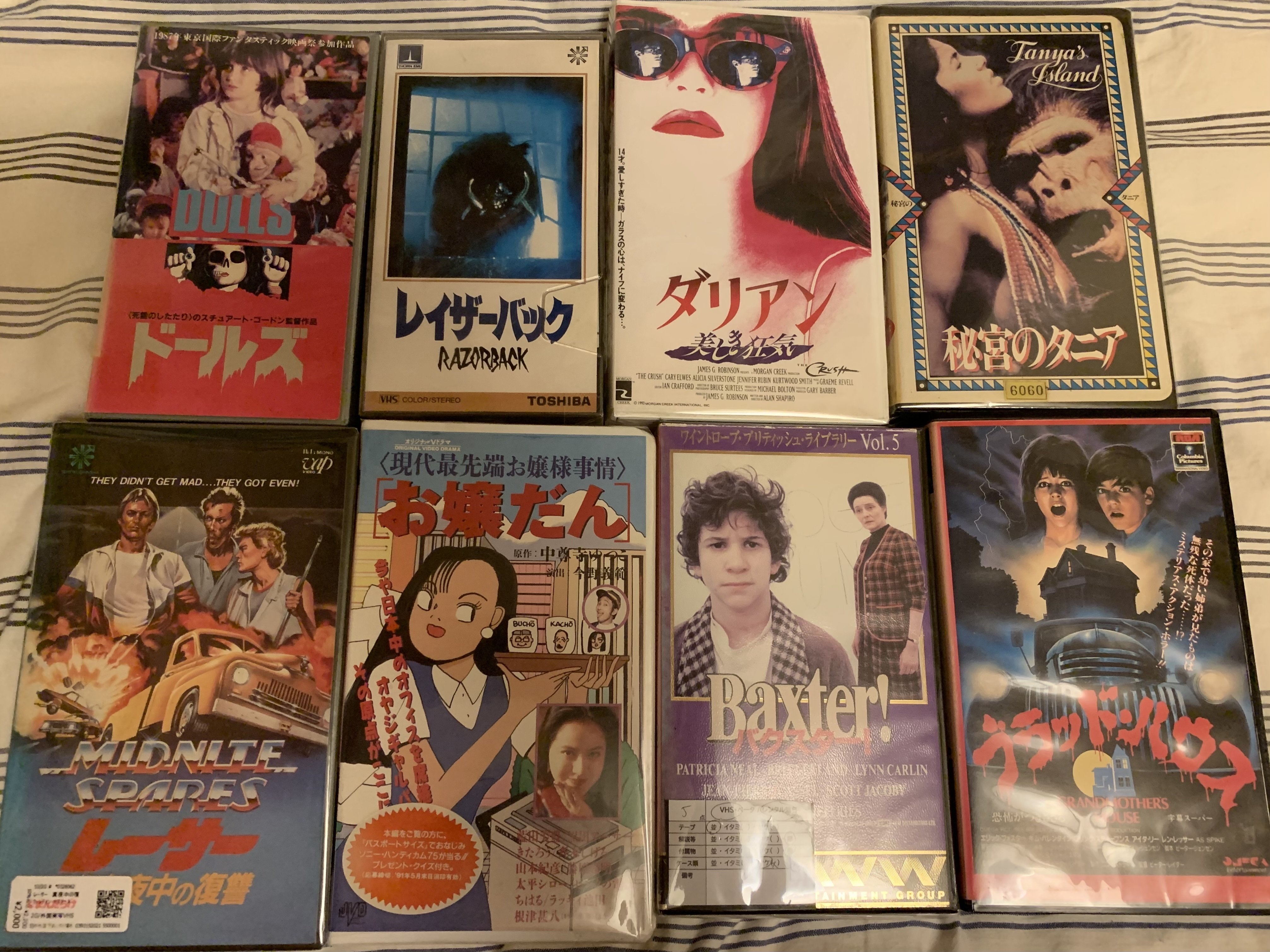 VHS大量収穫｜浅野公喜 コウキシャウト(Kouki Shouts To The World)