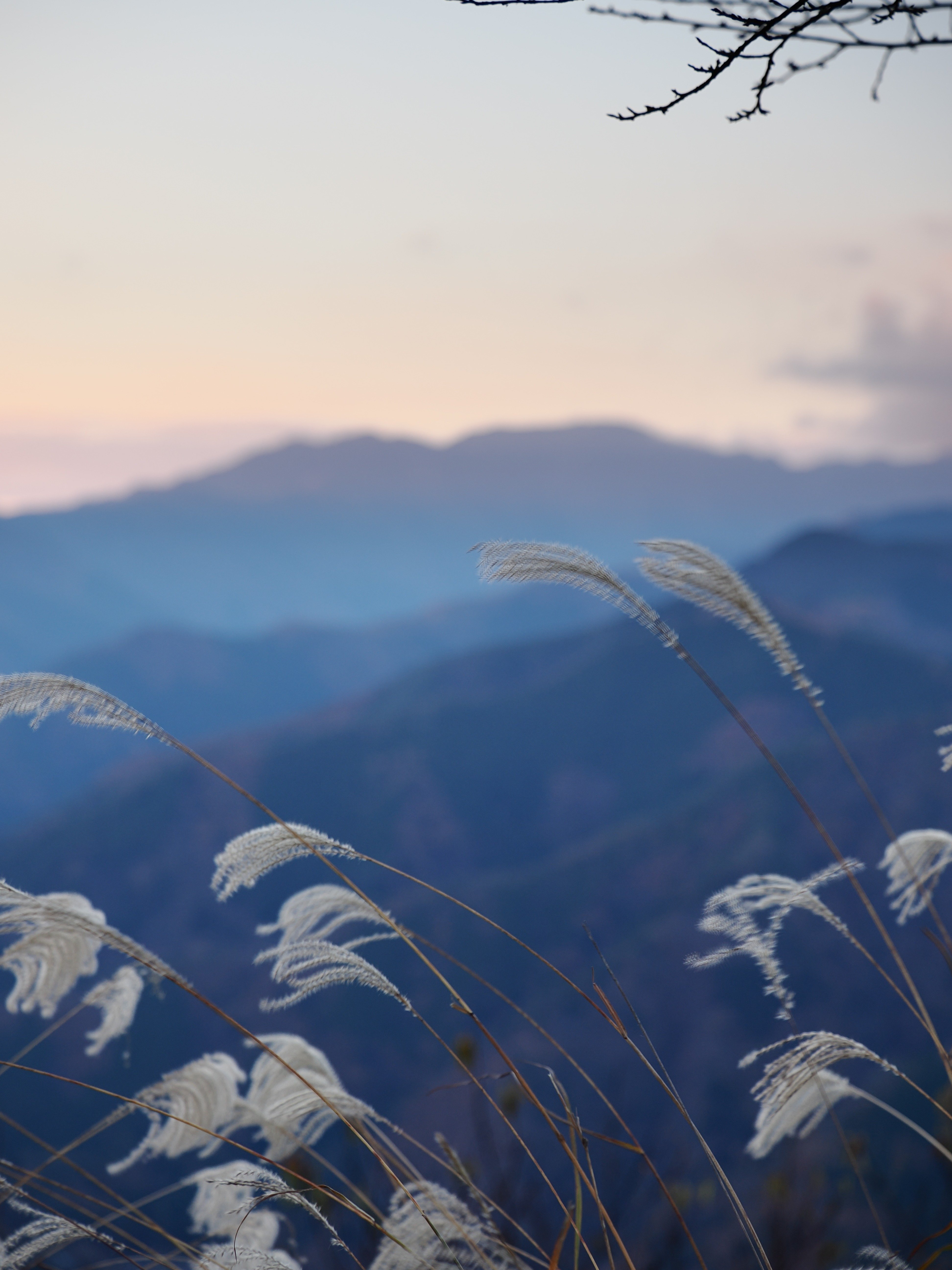 秋を感じる写真撮ってきたよ！｜平乃ひら