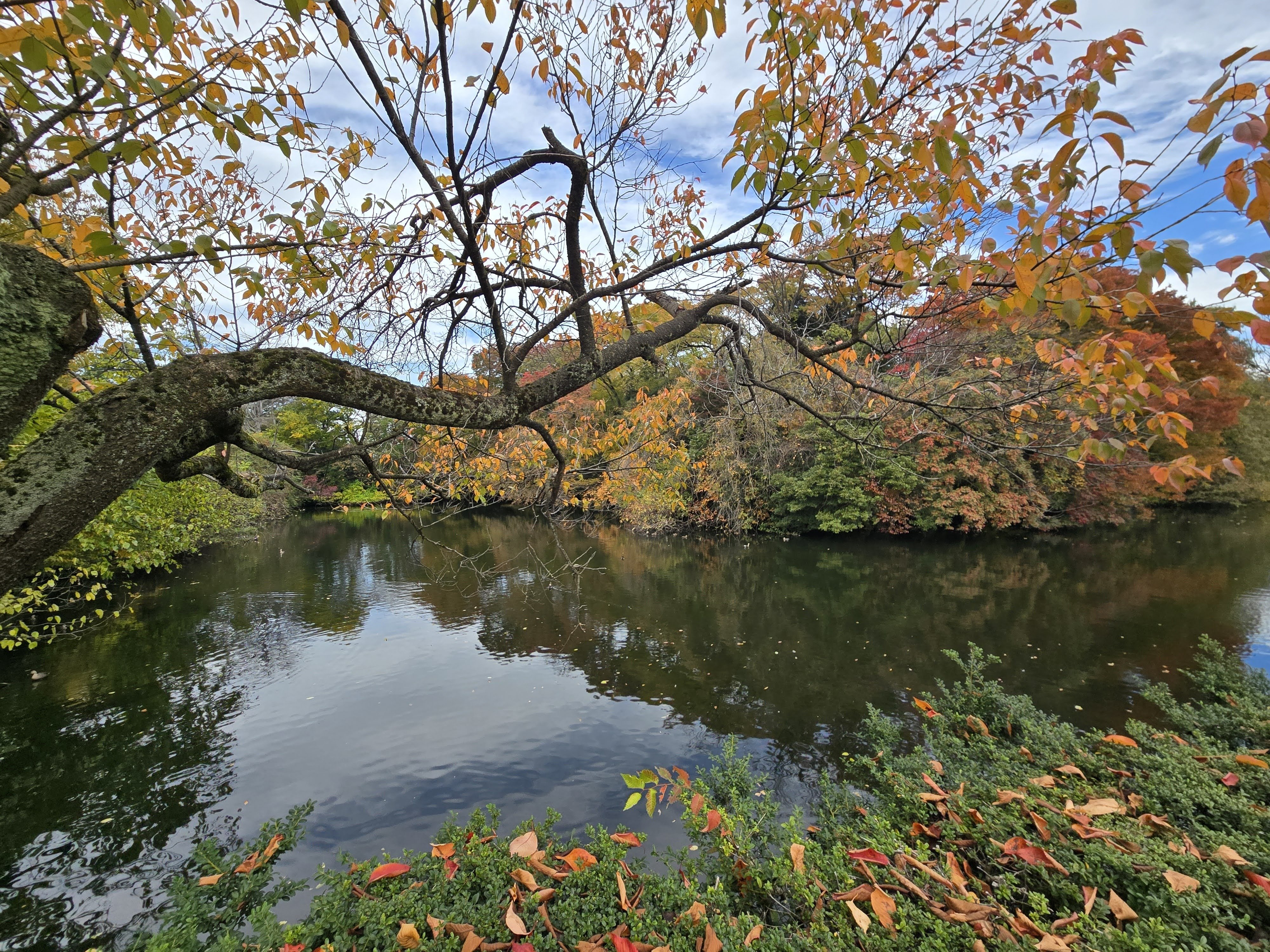 富山・高岡に行ってきました 藤子・F・不二雄ふるさとギャラリー、高岡