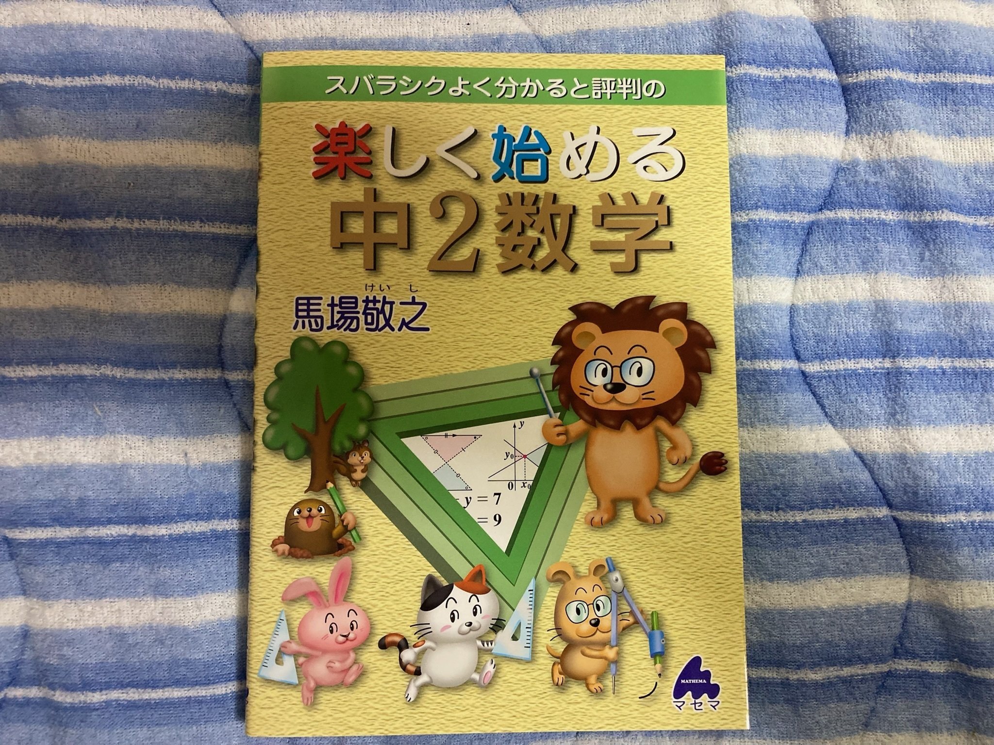 シリーズレビュー】楽しく始める中学数学｜中1・中2・中3を無理なく
