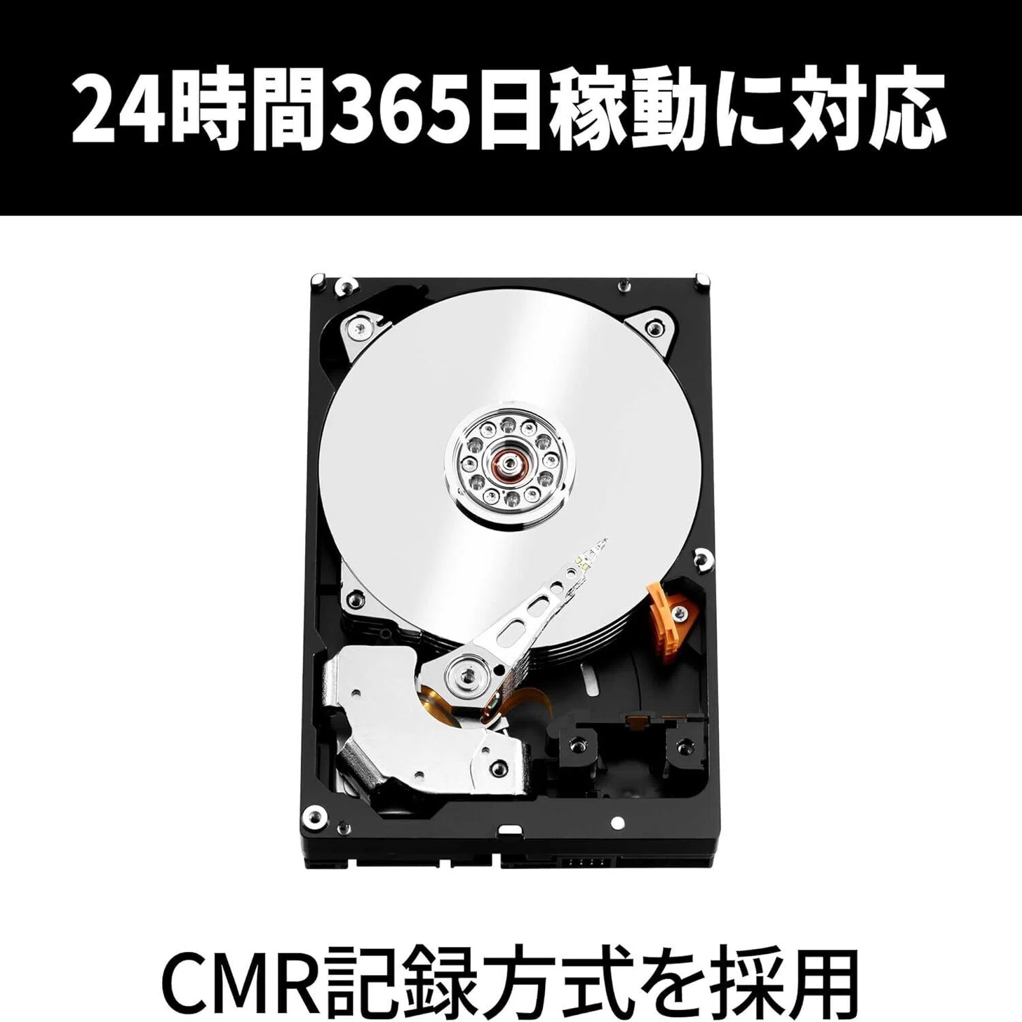 本音レビュー】Western Digital ウエスタンデジタル WD Red Plus 内蔵 