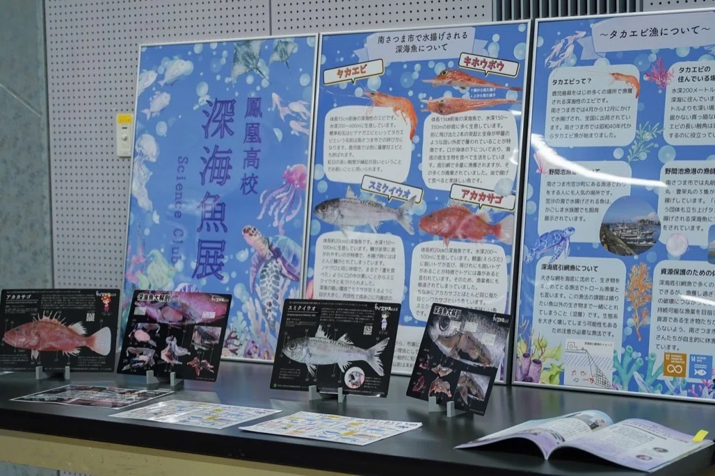 開催レポ】かごしま水族館で鳳凰高校サイエンスクラブが成果発表 〜XR