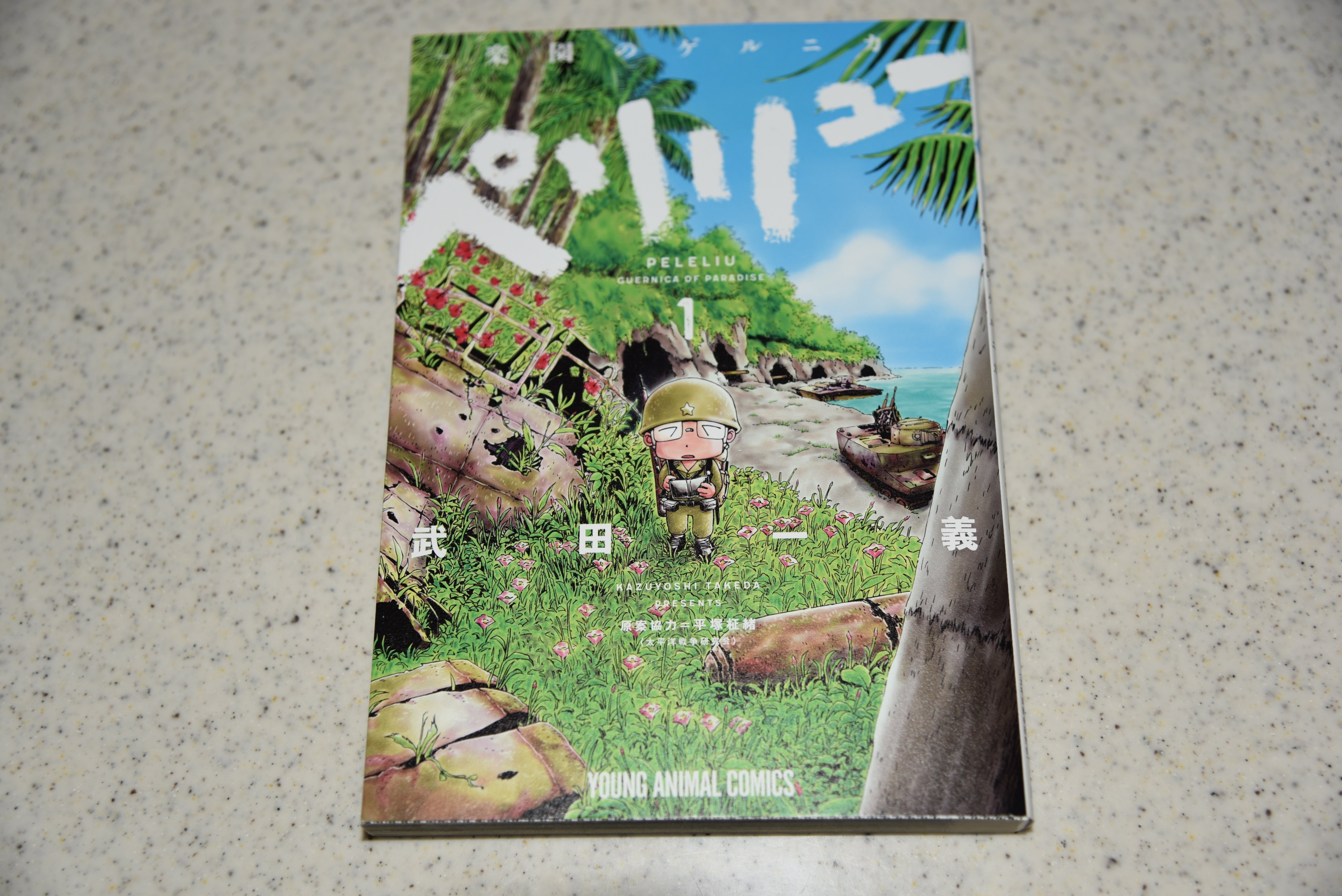 随想録4 『ペリリュー 楽園のゲルニカ』を読みながら思うーー戦争の