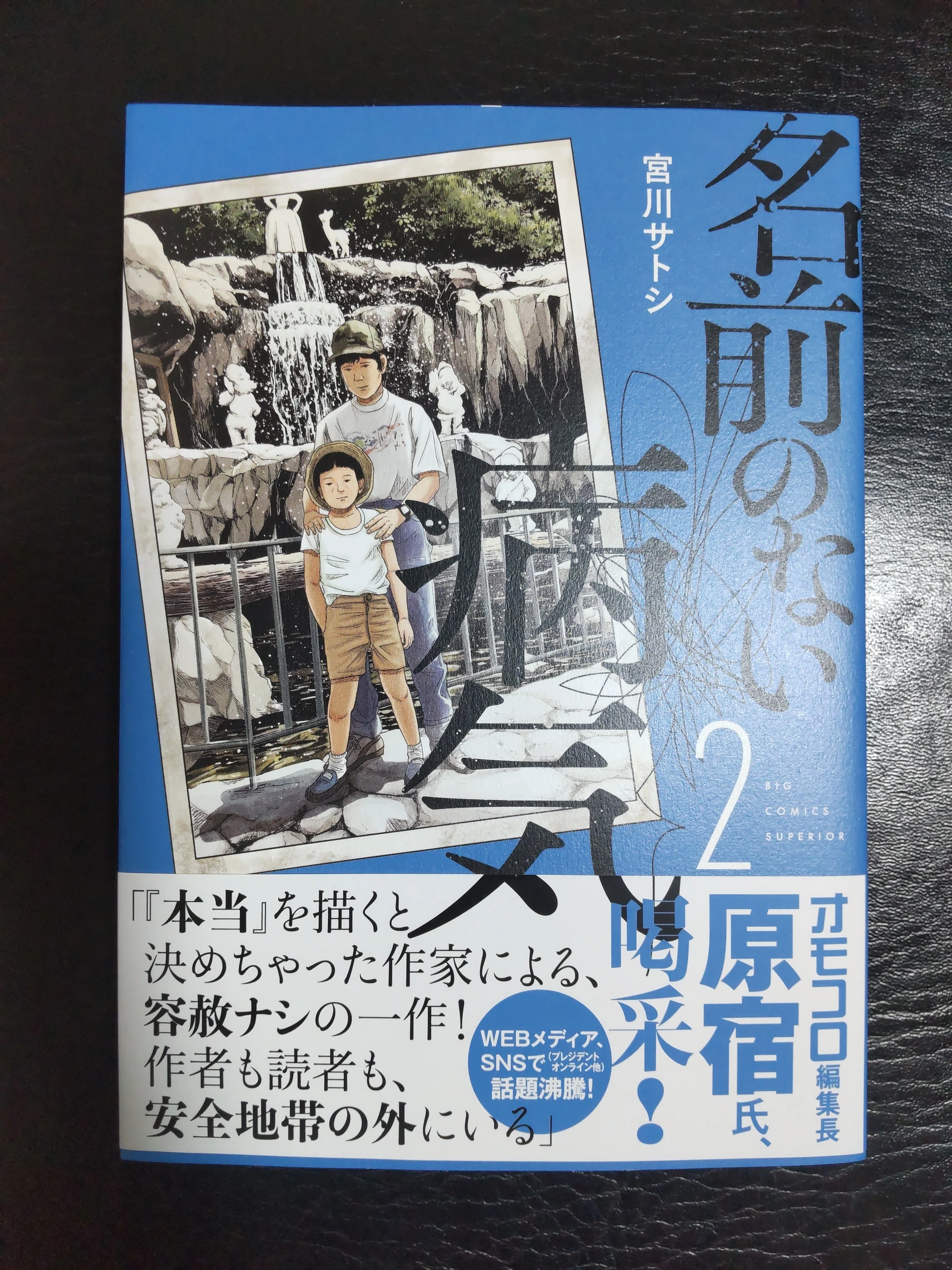 宮川サトシさんの「名前のない病気」第2巻を読みました｜サード