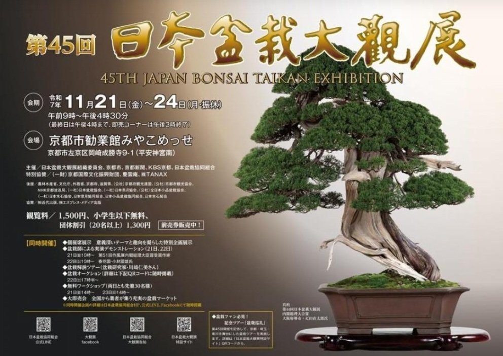 第45回 日本盆栽大観展 へ行って来ました。｜GEnKU