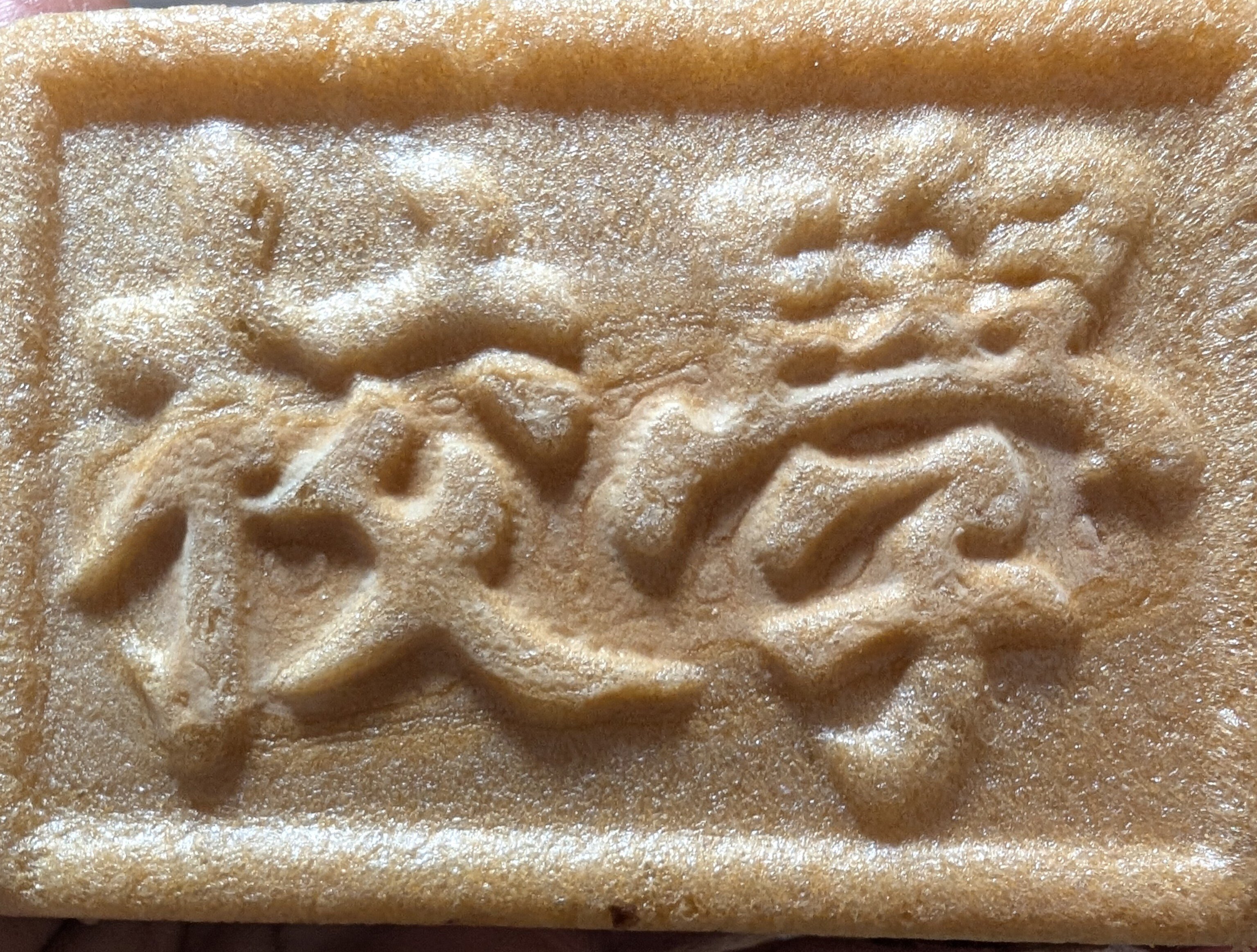 学問の最中”って知ってる？足利學校最中を食べてみました｜sanayo