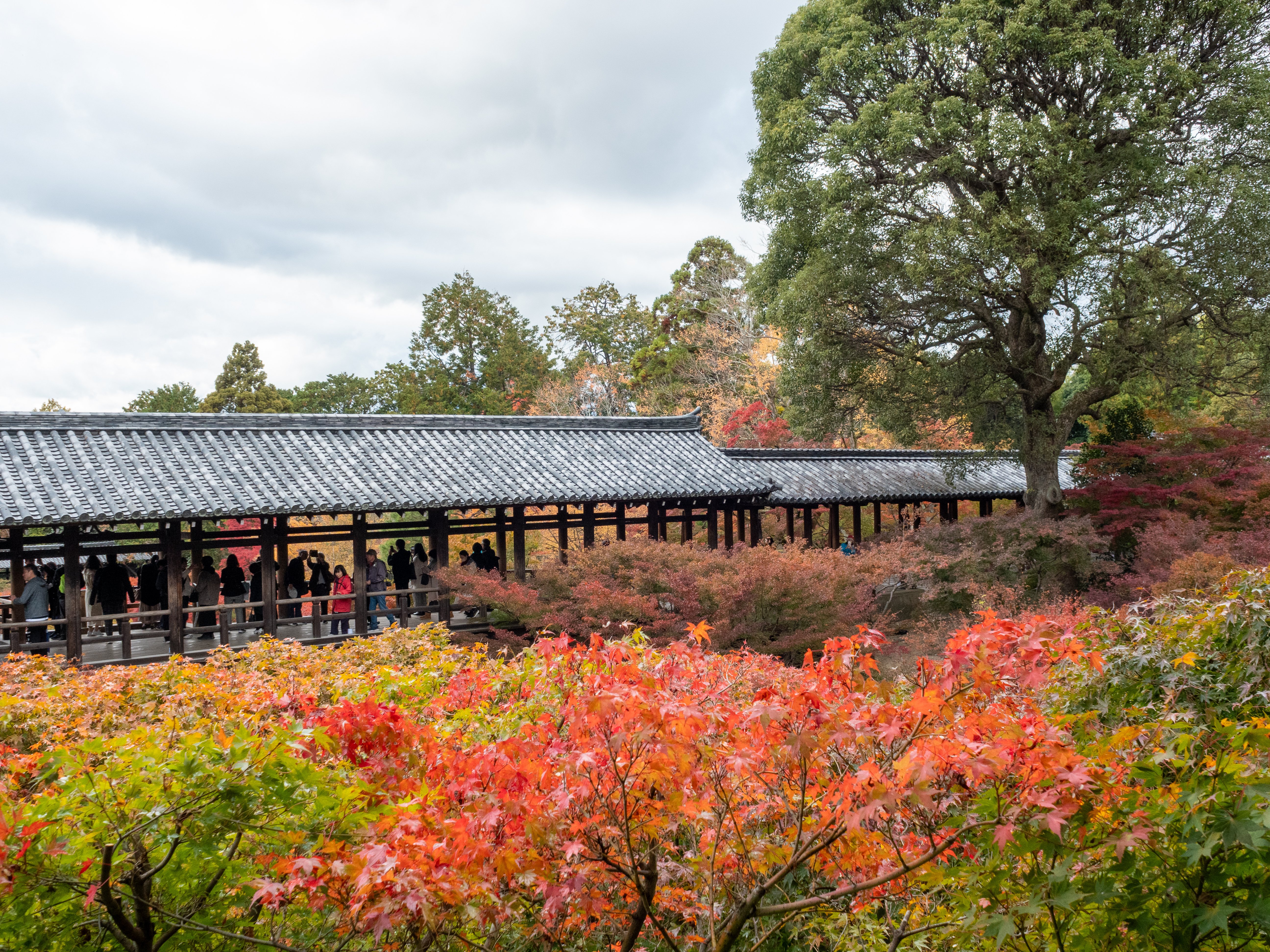 龍吟庵の三枯山水と東福寺本坊四庭｜踏架 Wait for a breeze