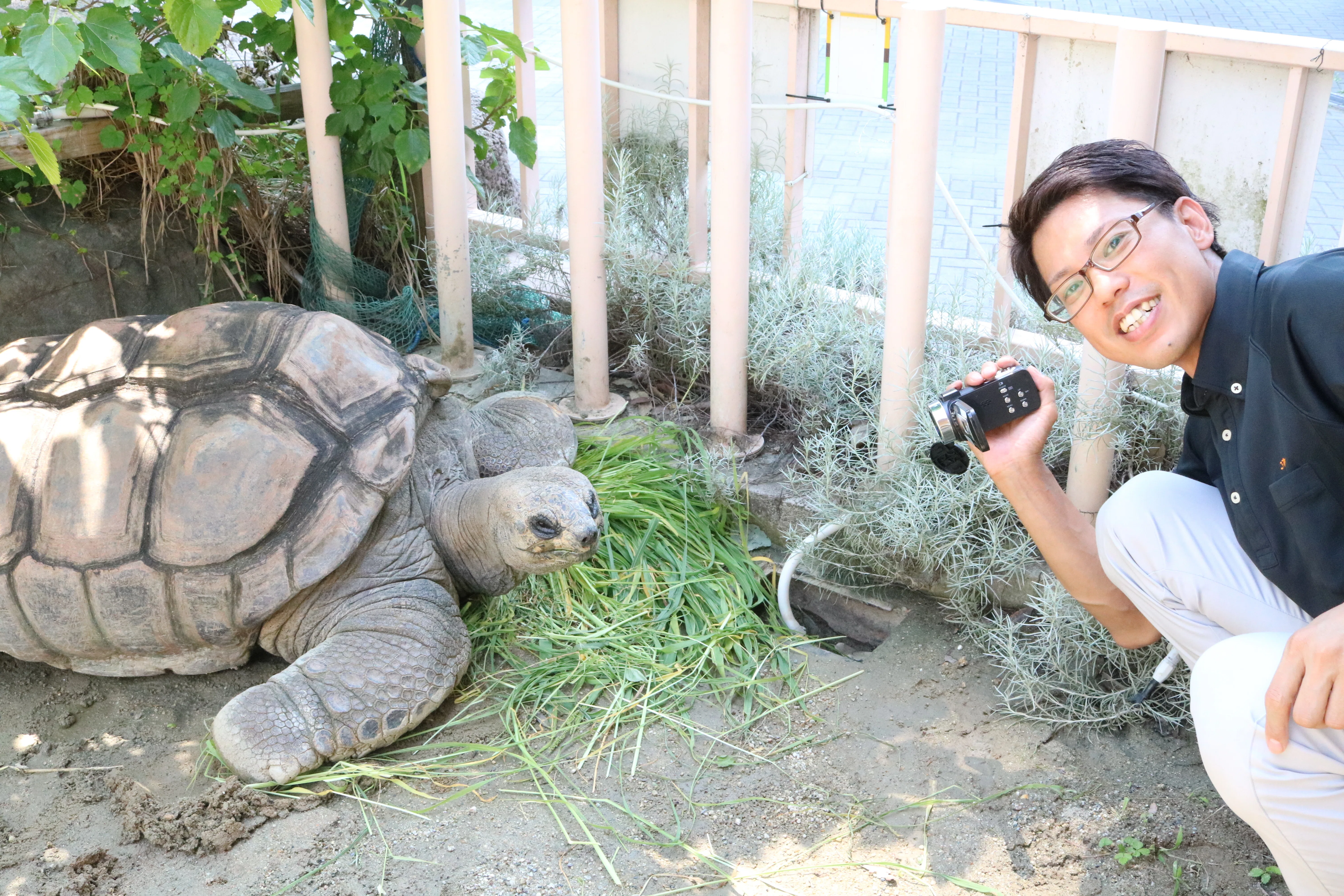 なぜ、この亀は「ドヤ顔」なのか？リフォーム屋が東山動植物園で起こし